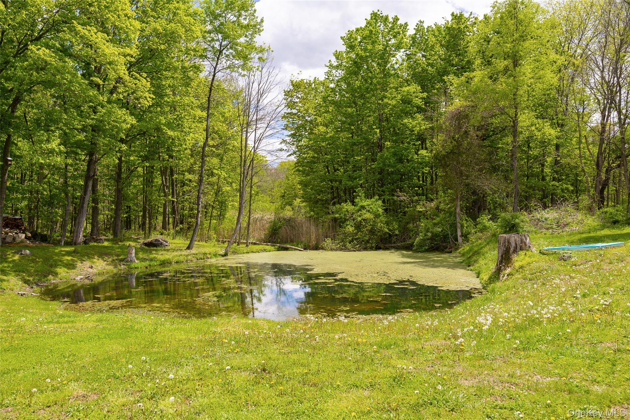 Single Family Nevis Road Columbia County, NY 12583, MLS-1024770-20