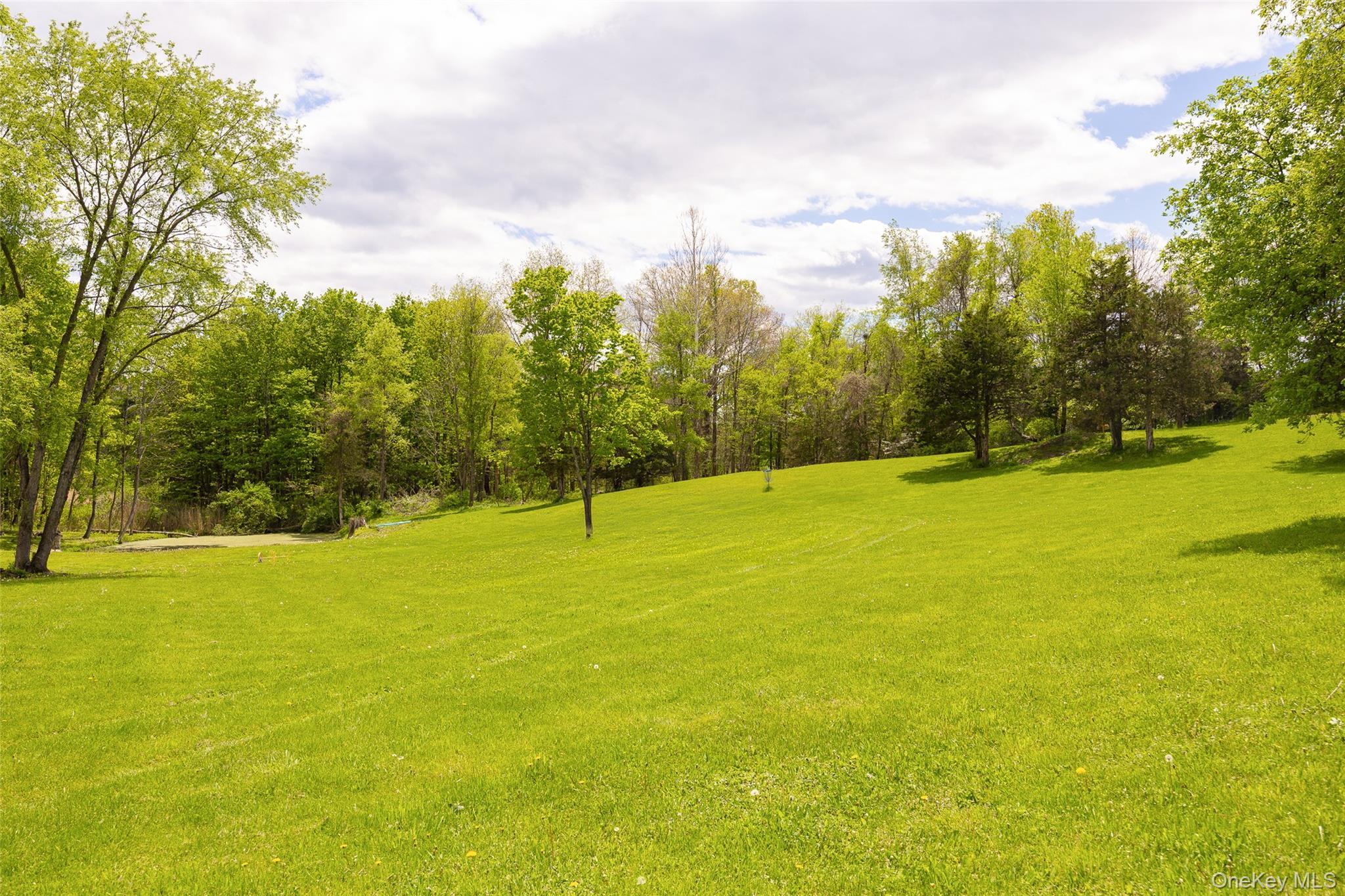 Single Family Nevis Road Columbia County, NY 12583, MLS-1024770-23