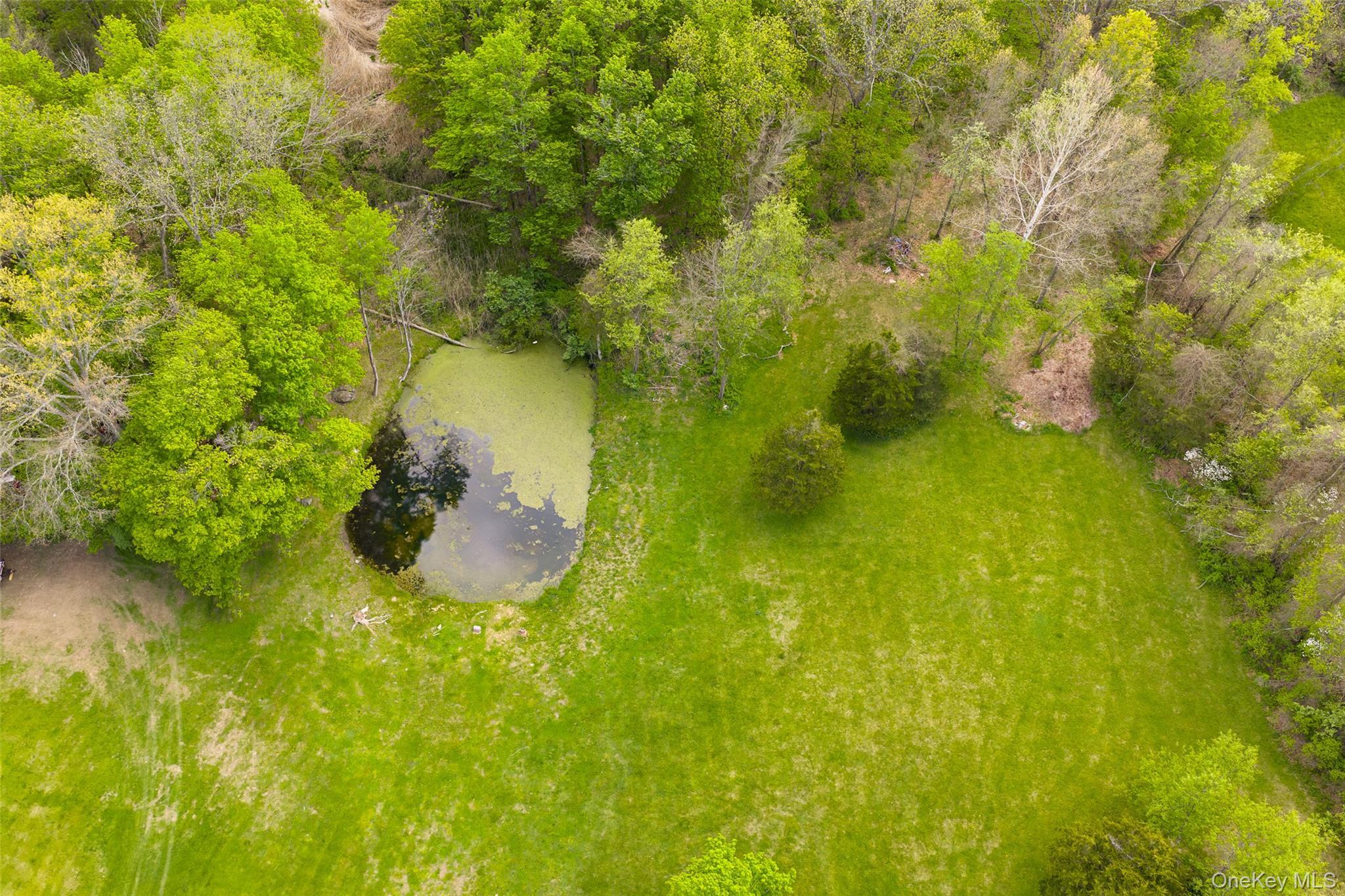 Single Family Nevis Road Columbia County, NY 12583, MLS-1024770-24