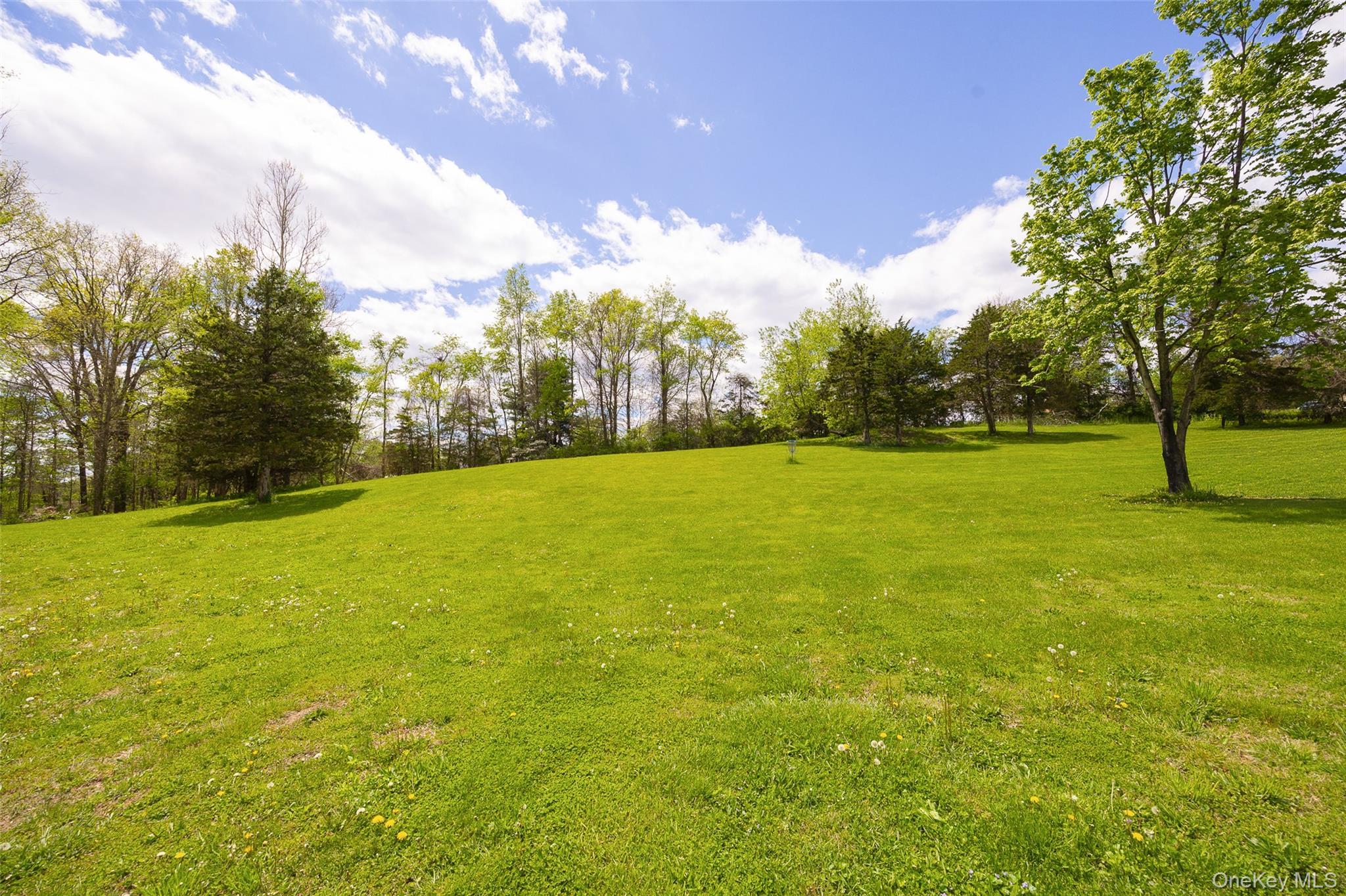 Single Family Nevis Road Columbia County, NY 12583, MLS-1024770-26