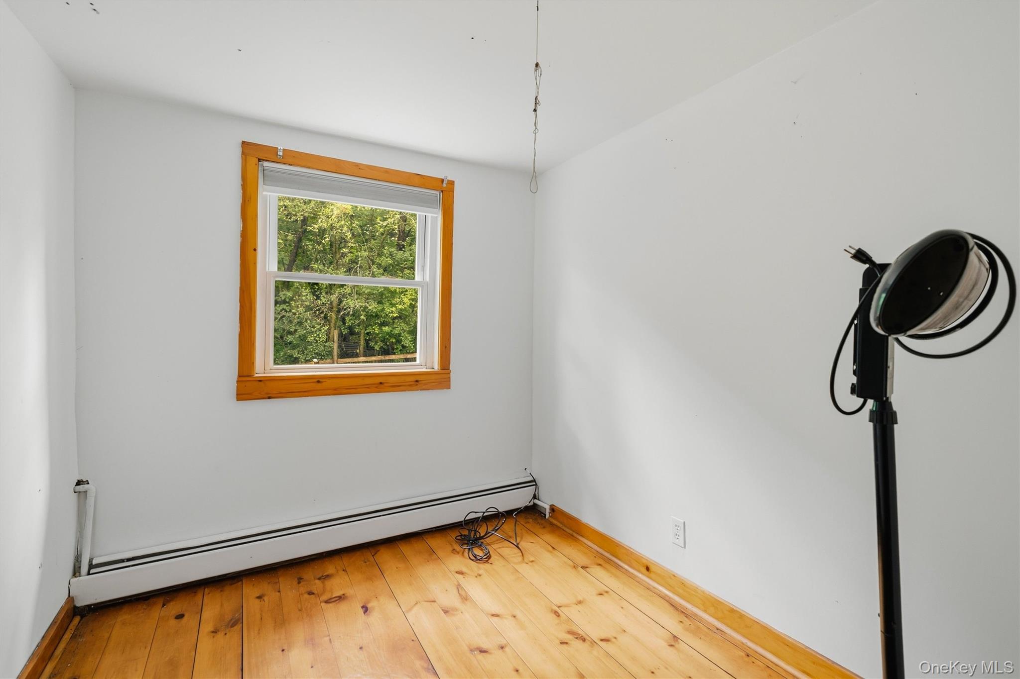 Single Family Meadow Avenue Orange County, NY 10918, MLS-1024779-19