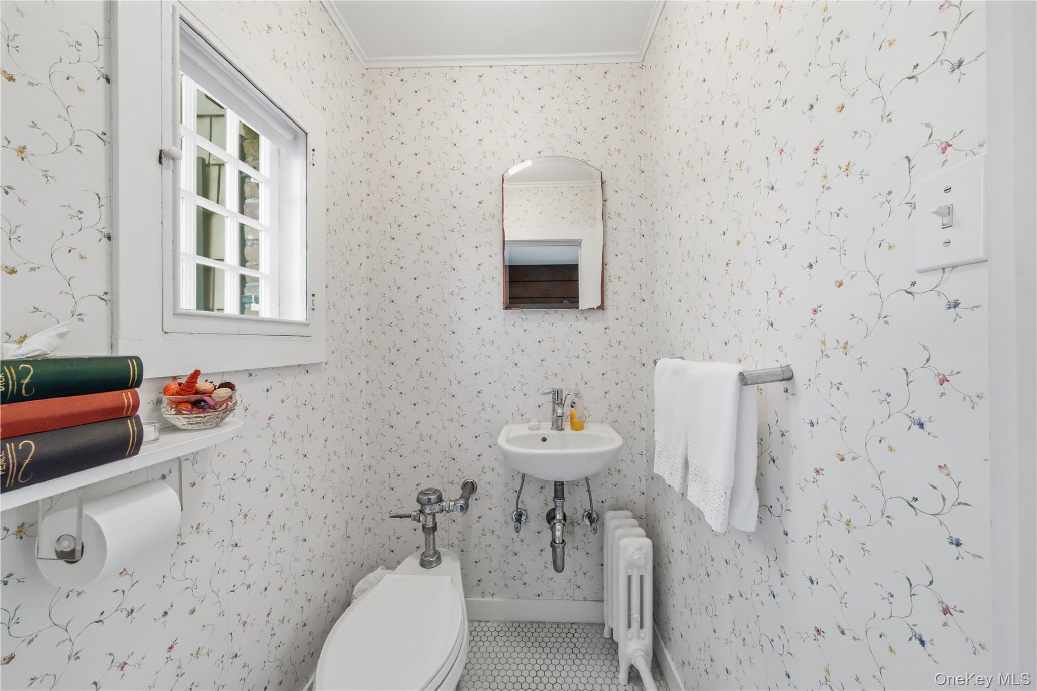 Single Family Manor Road Queens, NY 11363, MLS-1024826-24