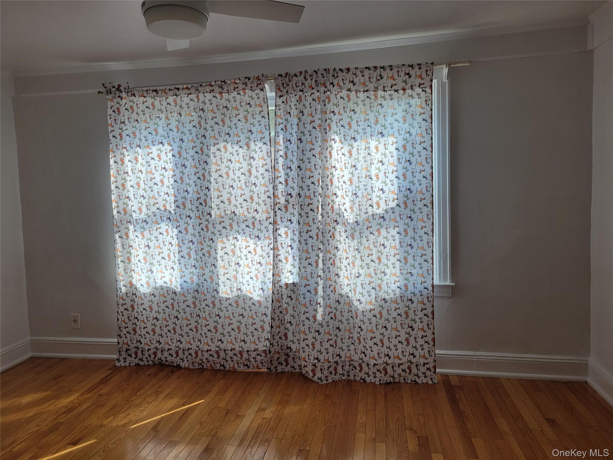 Single Family 199th Street Queens, NY 11423, MLS-1024897-7