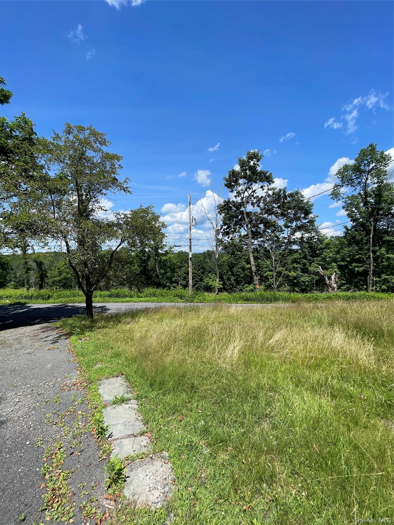 Single Family Town Rd 113 Sullivan County, NY 12733, MLS-1024911-10