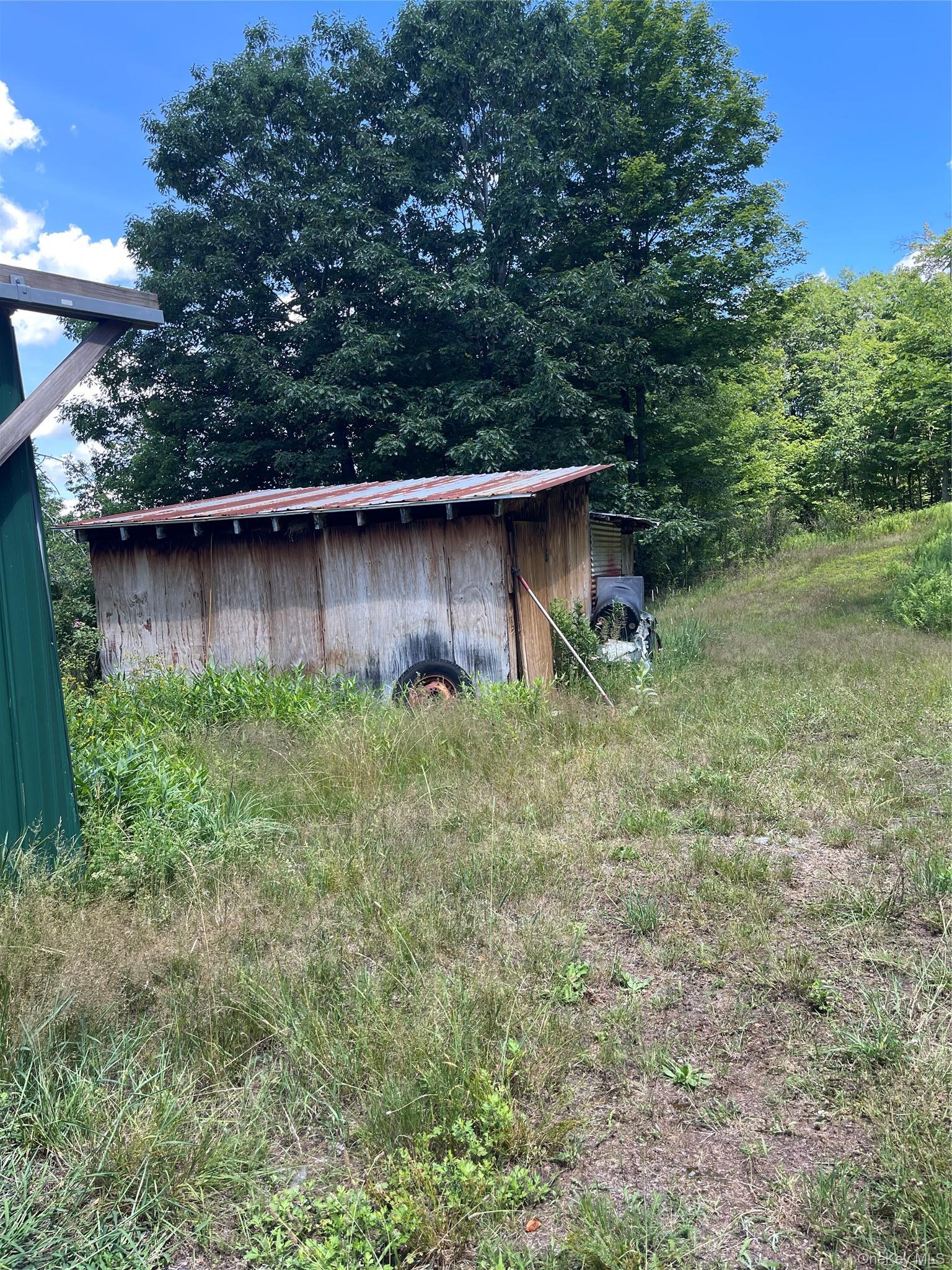 Single Family Town Rd 113  Sullivan County, NY 12733, MLS-1024911-12