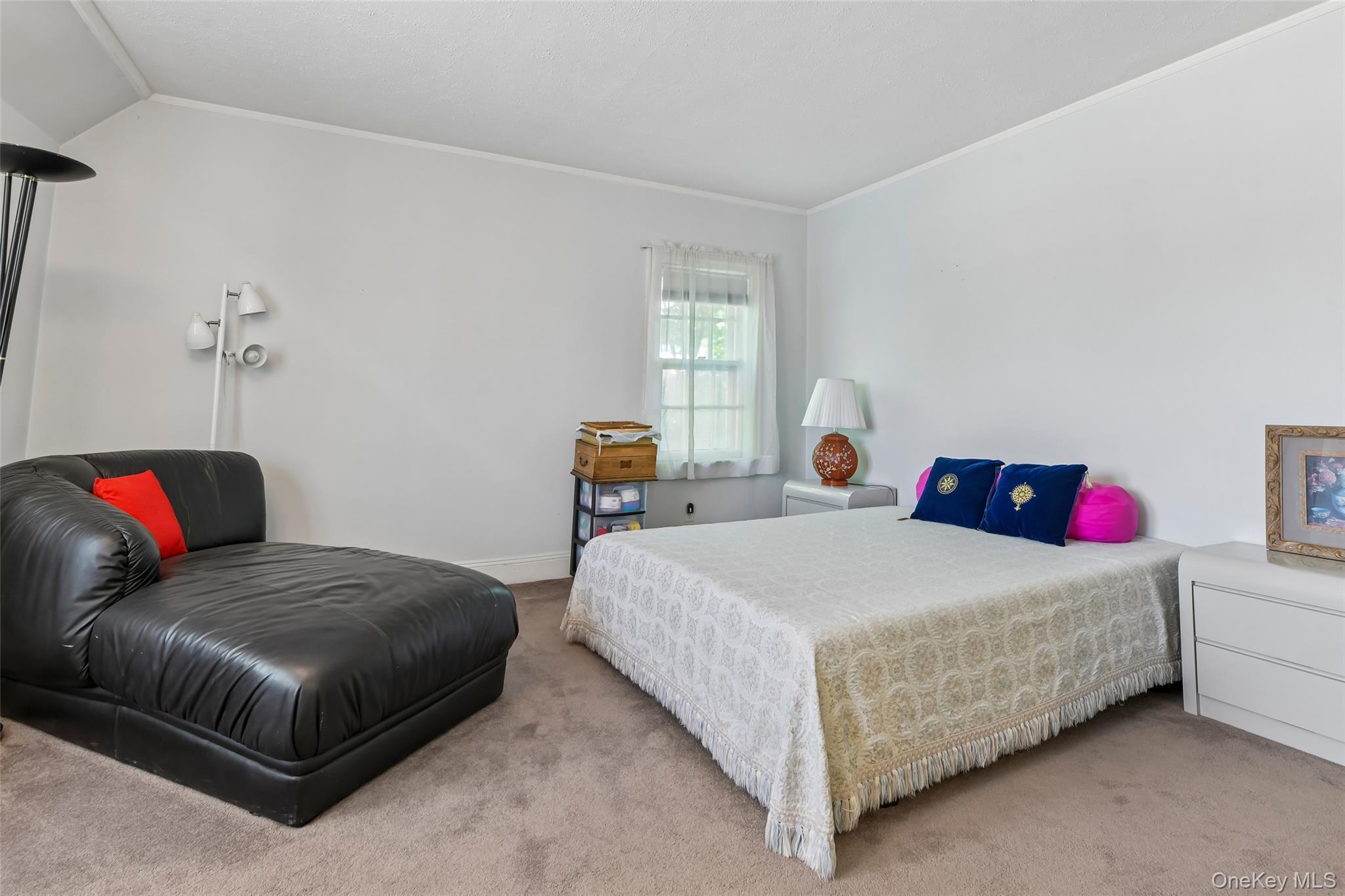 Single Family Cedarhurst Avenue Nassau County, NY 11516, MLS-1024914-29