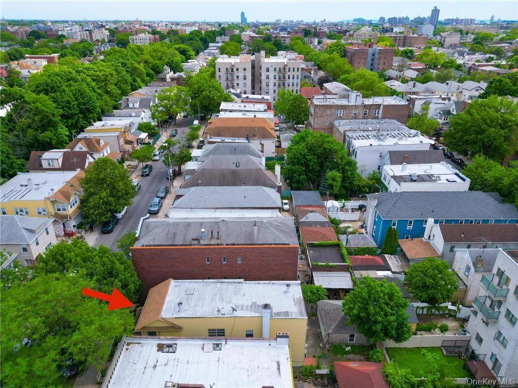 Single Family E 15th Street Brooklyn, NY 11230, MLS-1024959-6