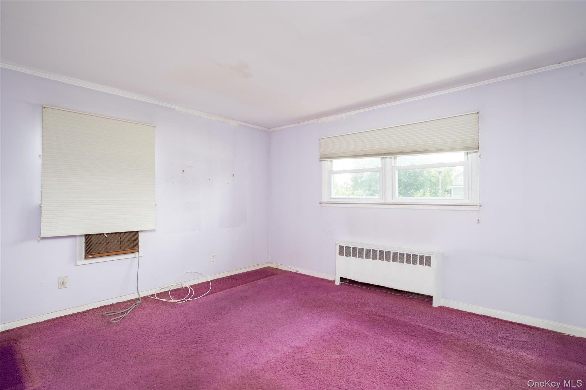 Single Family Whitehall Lane Nassau County, NY 11793, MLS-1024973-13
