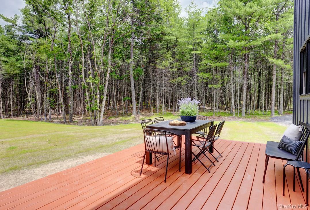 Single Family Victoria Lane  Ulster County, NY 12446, MLS-1024995-43