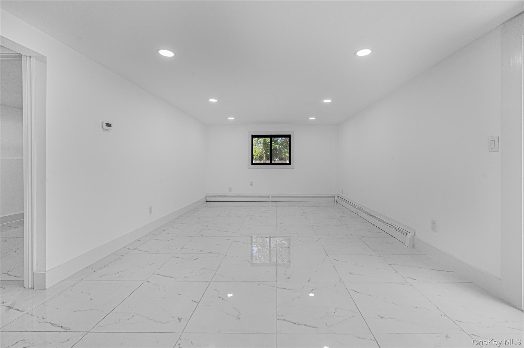 Single Family Central Park Road  Nassau County, NY 11803, MLS-1025004-32