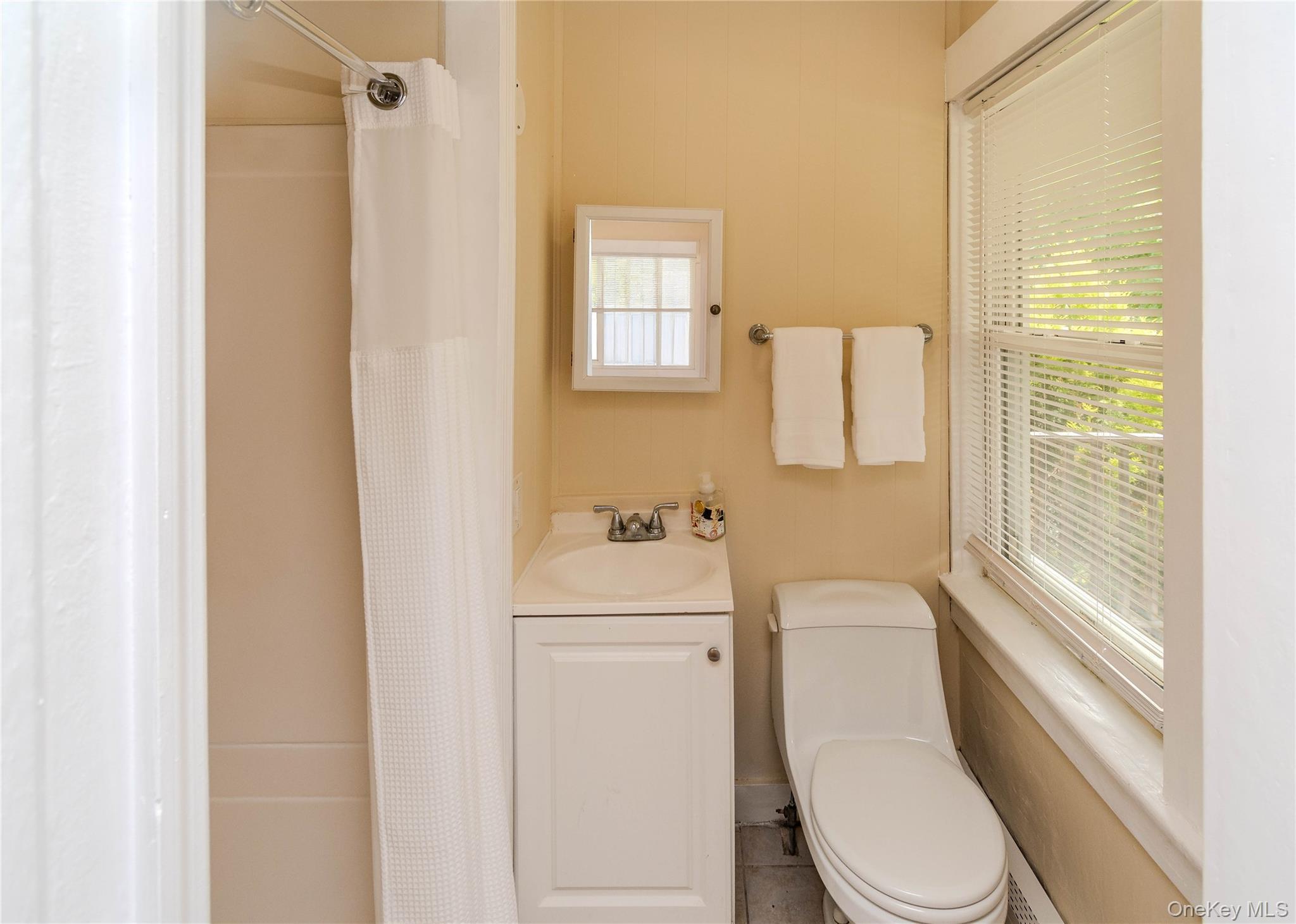 Single Family E Main Street  Westchester County, NY 10535, MLS-1025008-25