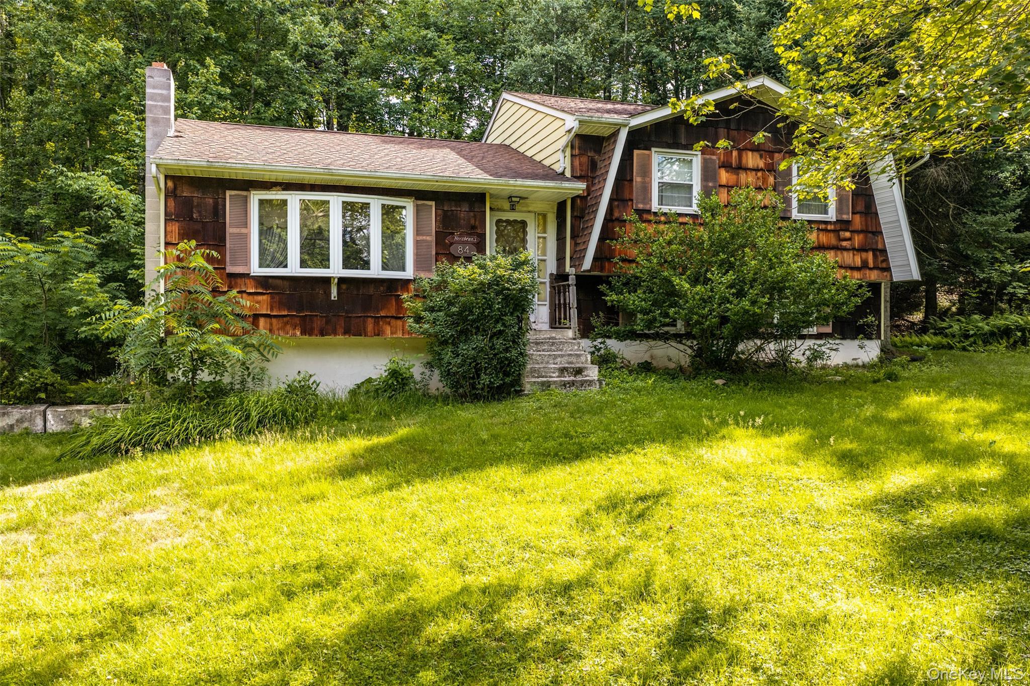 Single Family Railroad Avenue Sullivan County, NY 12747, MLS-1025011-2