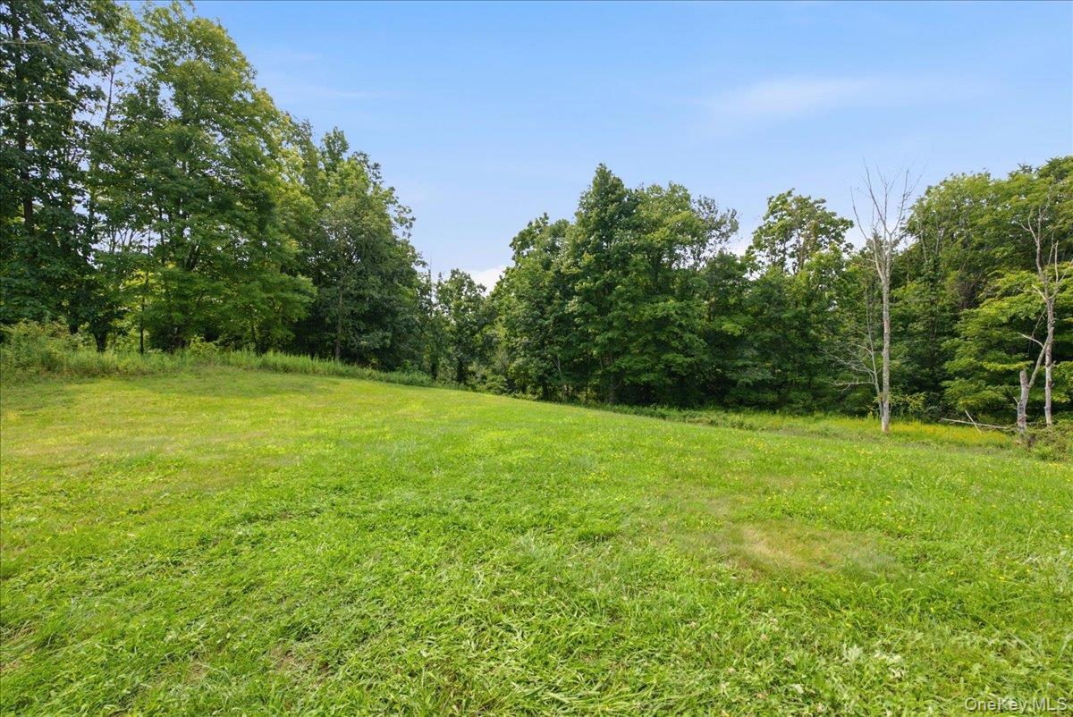 Single Family Mt Hope Road Orange County, NY 10940, MLS-1025075-46