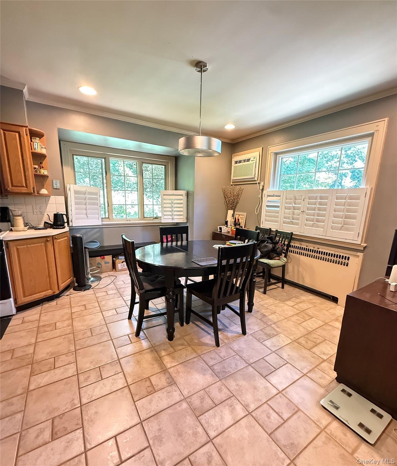 Single Family W Terrace Road  Nassau County, NY 11021, MLS-1025107-8