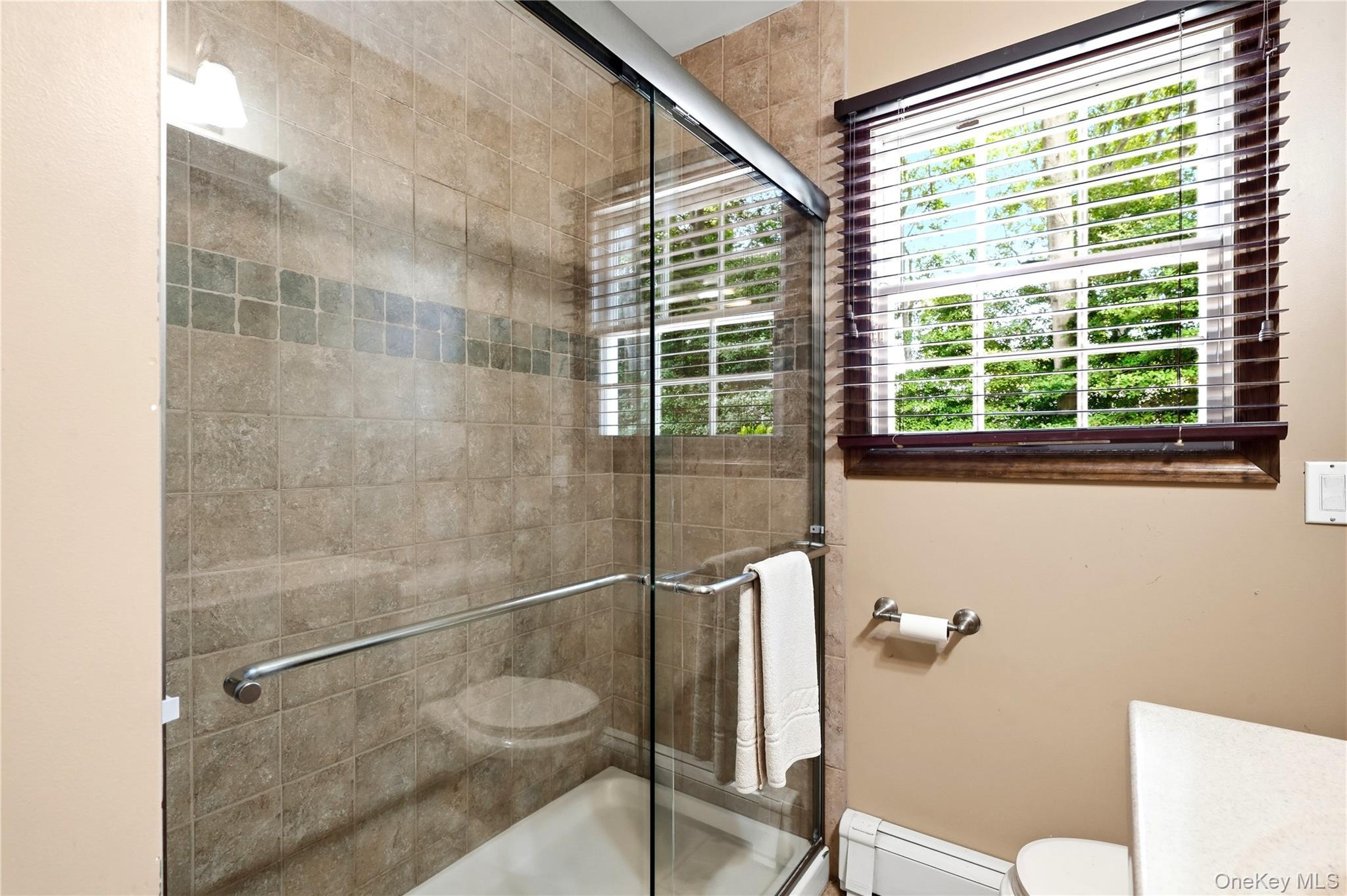 Single Family Liberty Street  Suffolk County, NY 11716, MLS-1025108-14