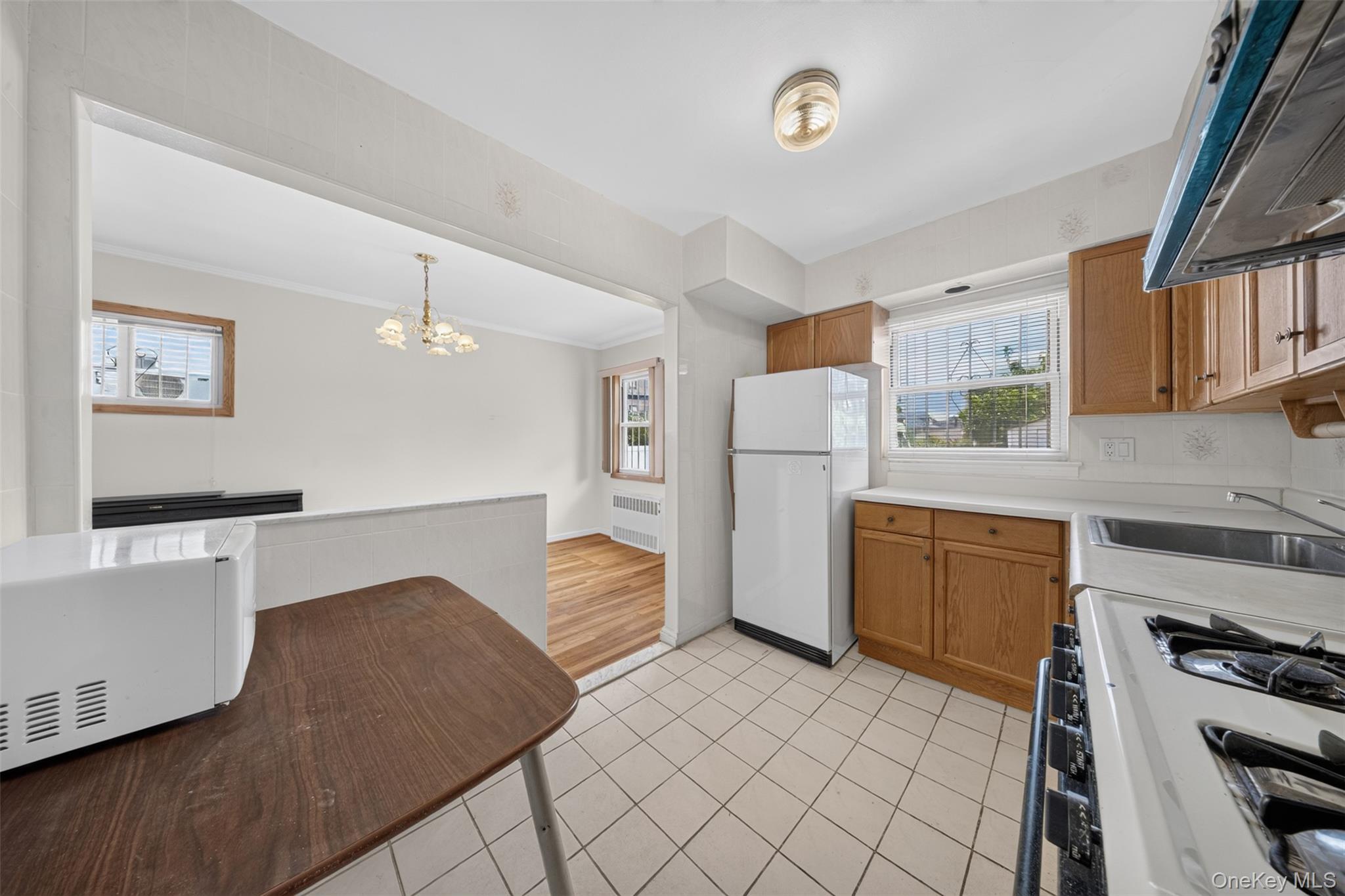 Single Family Kalmia Avenue Queens, NY 11355, MLS-1025137-8
