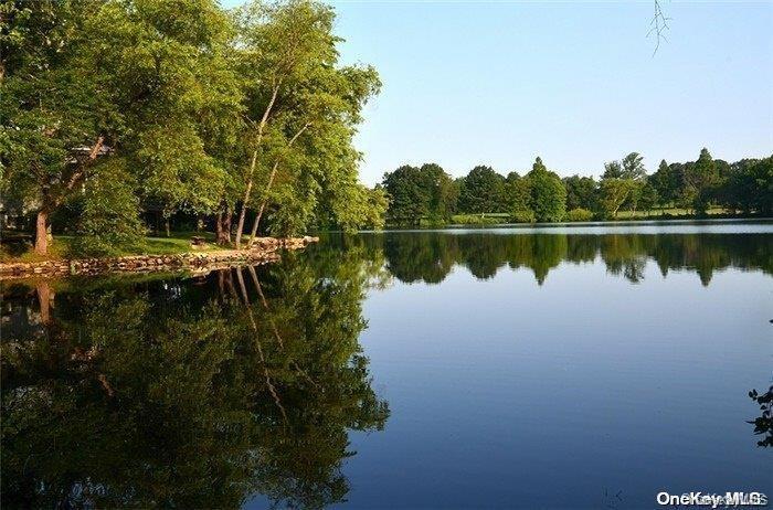 Single Family W Woods Road  Nassau County, NY 11020, MLS-1025193-31