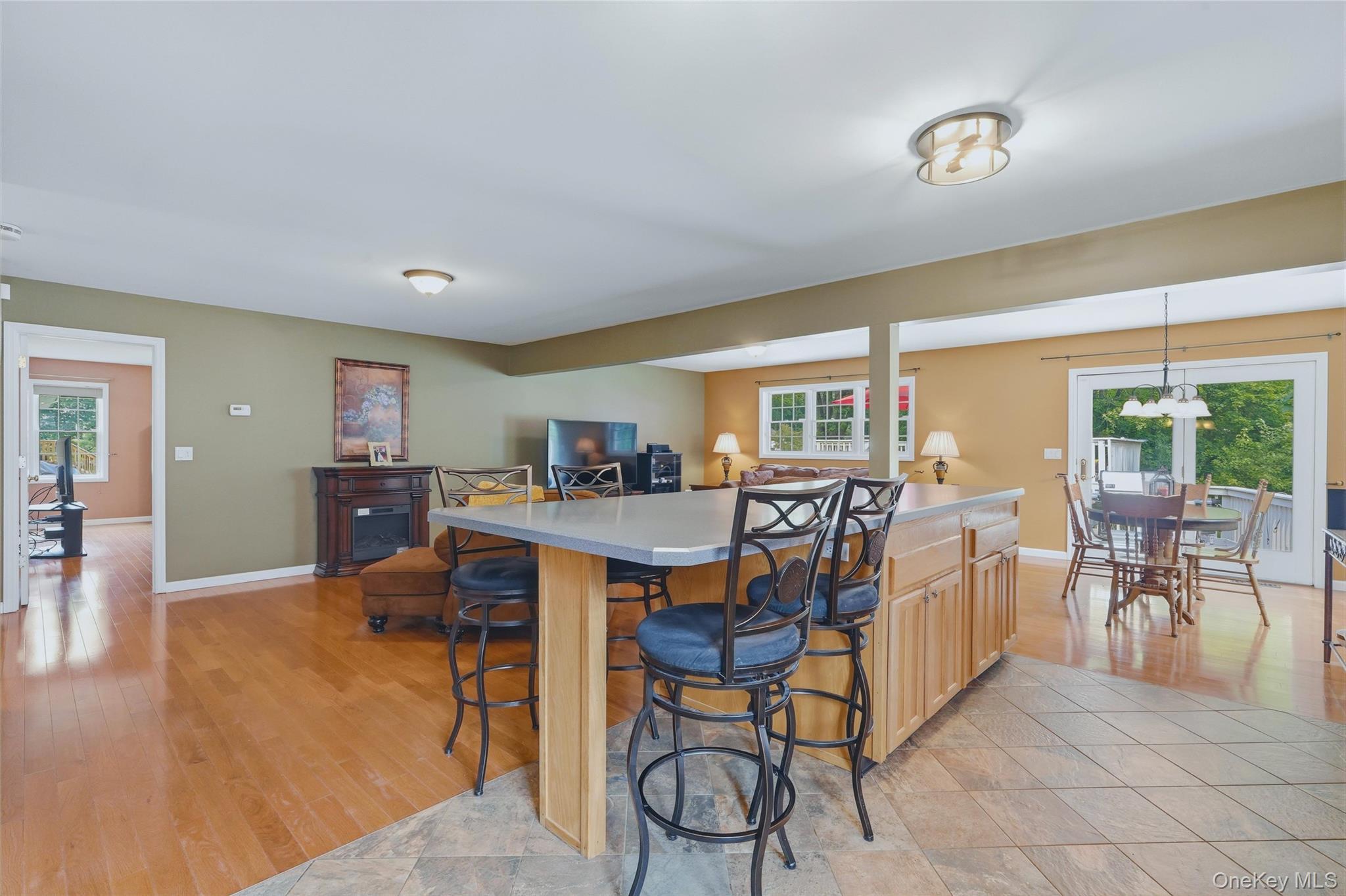 Single Family Lakeside Road  Orange County, NY 12550, MLS-1025198-12