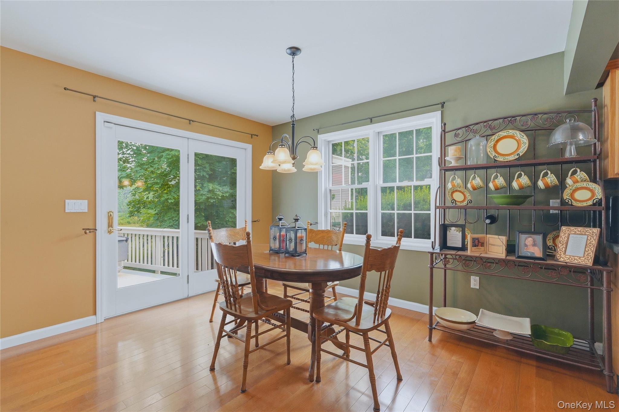 Single Family Lakeside Road  Orange County, NY 12550, MLS-1025198-15
