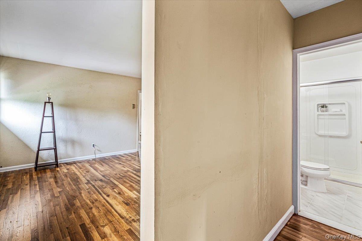 Single Family Clemson Lane Nassau County, NY 11797, MLS-1025222-25