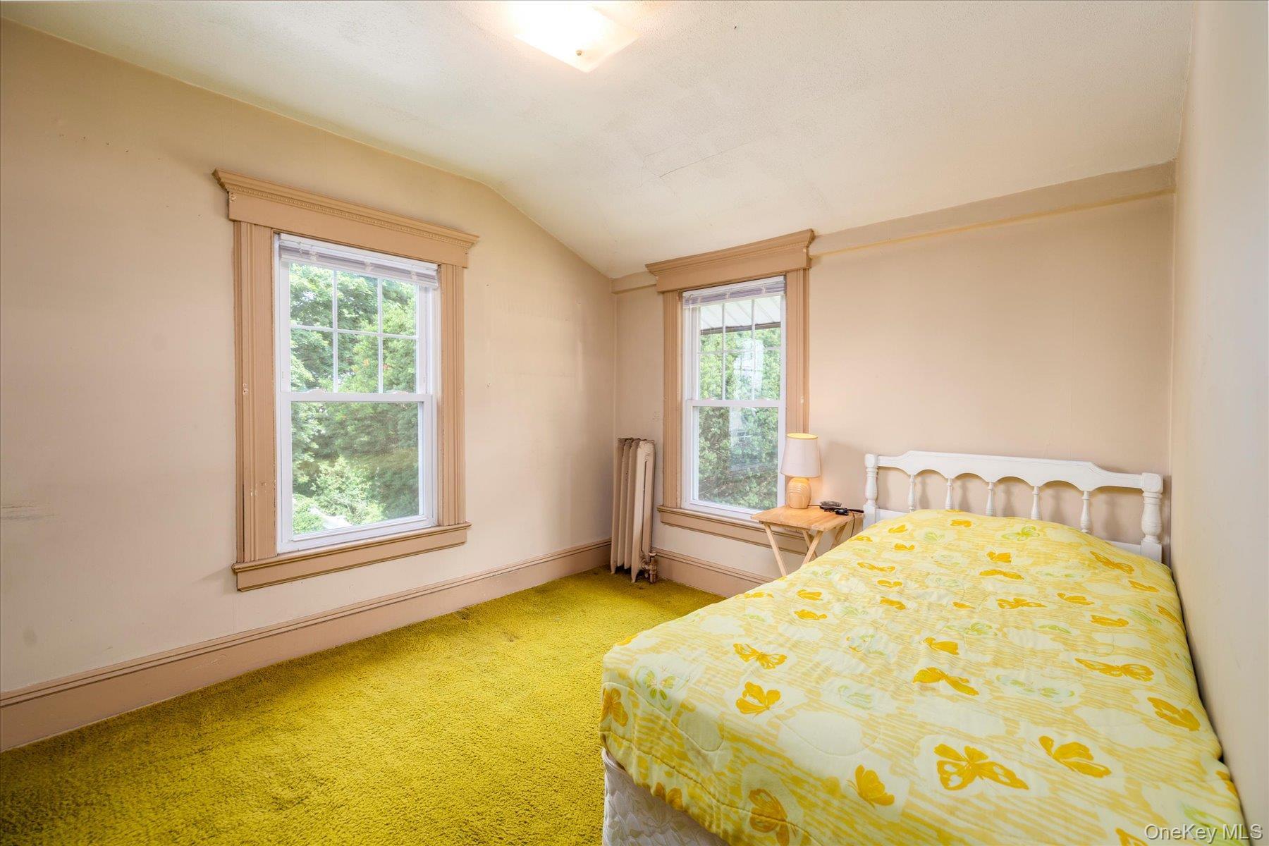 Single Family Grove Street Nassau County, NY 11563, MLS-1025230-17
