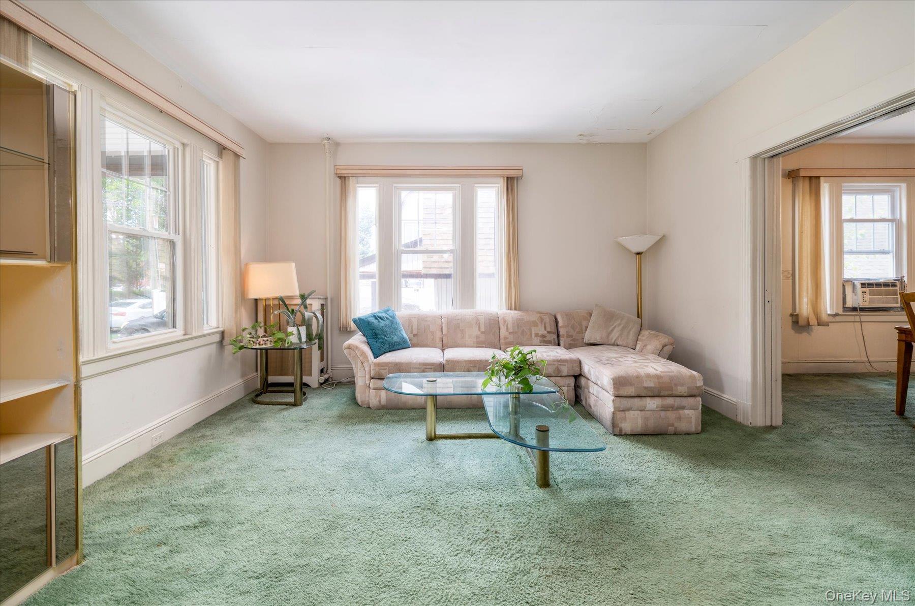 Single Family Grove Street Nassau County, NY 11563, MLS-1025230-8