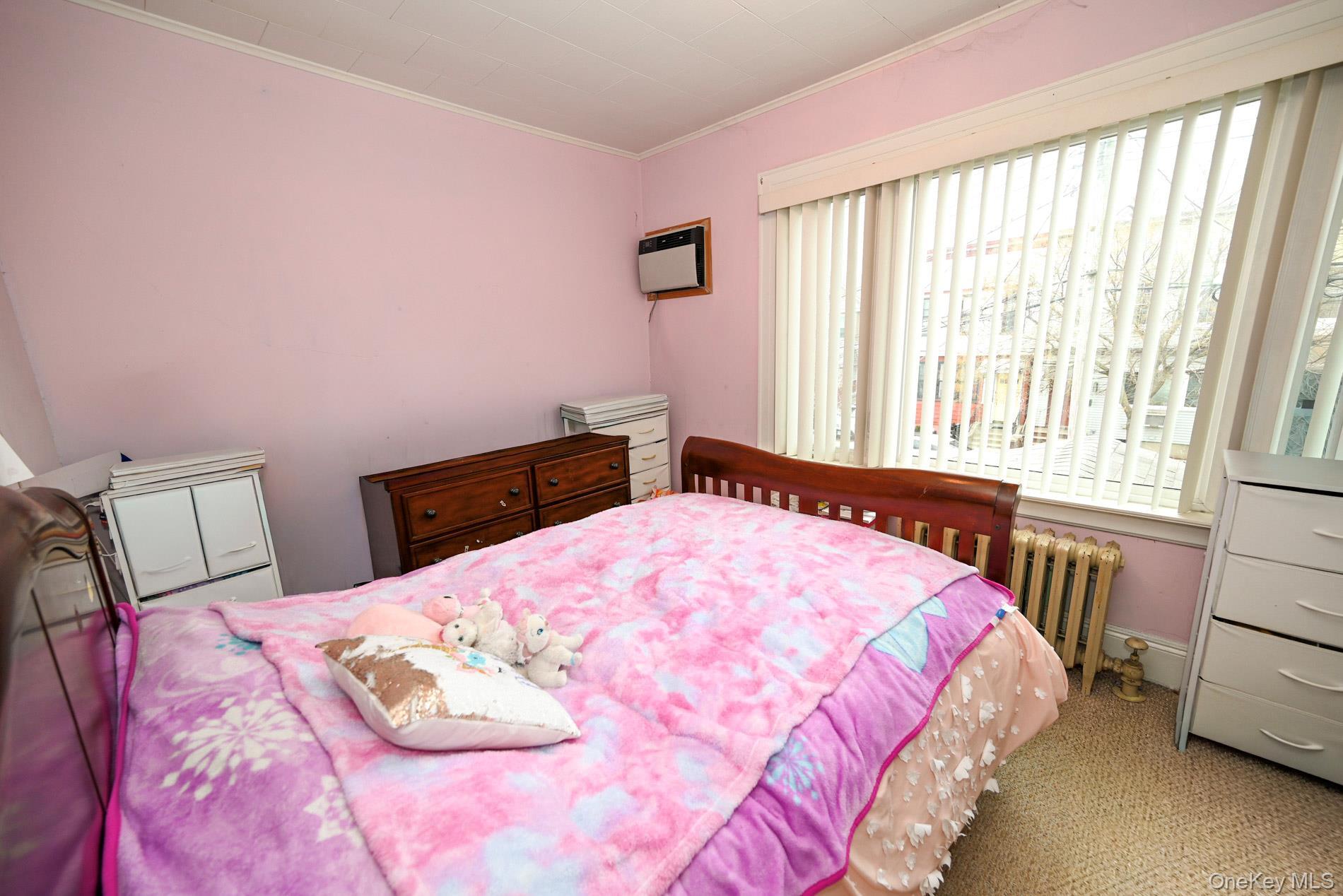 Single Family 71st Place  Queens, NY 11385, MLS-1025231-25