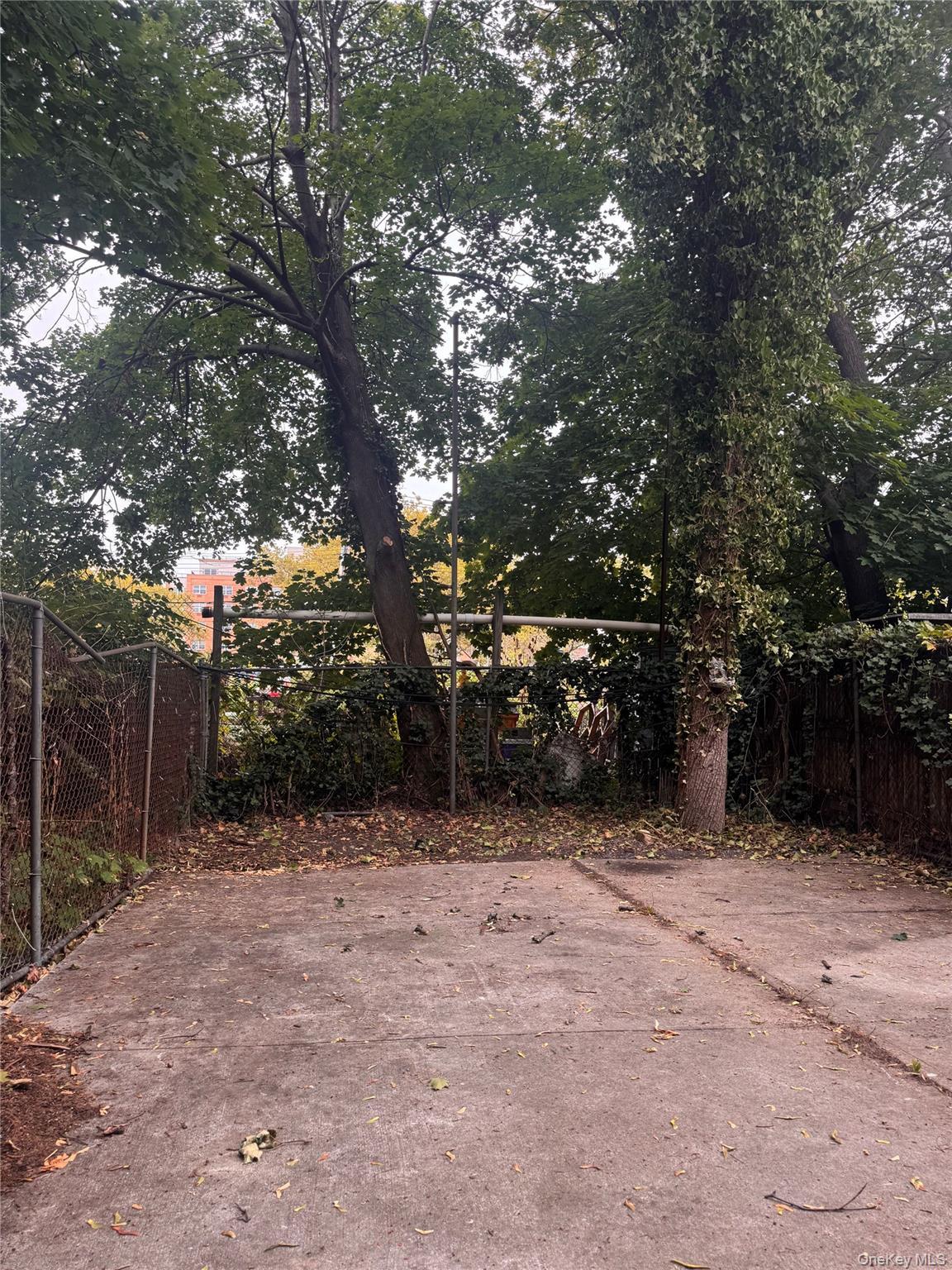 Single Family Hendrix Street  Brooklyn, NY 11207, MLS-1025237-8