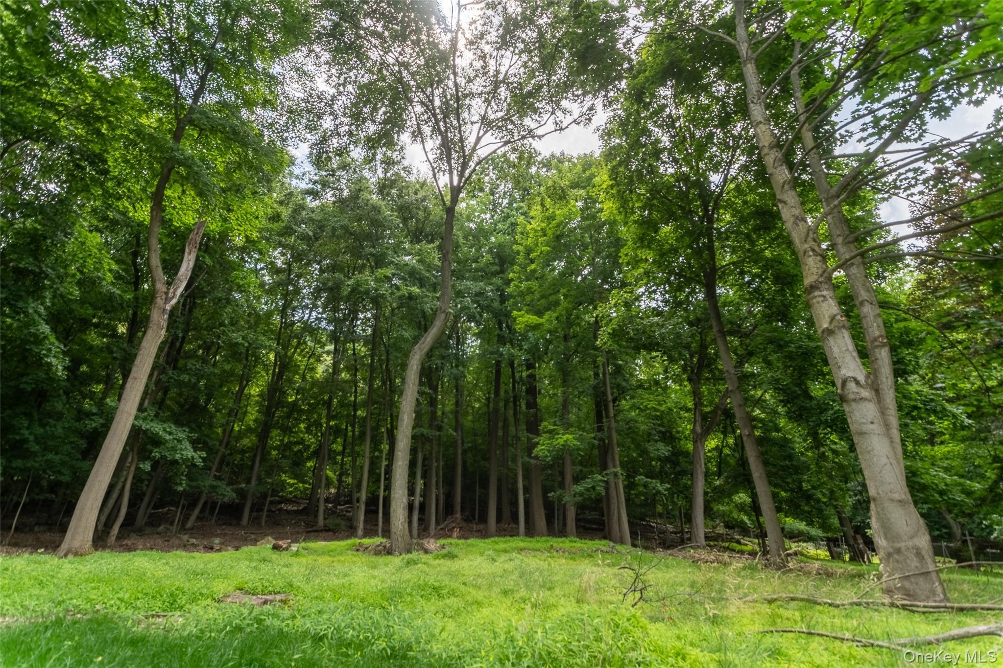 Single Family Hillside Avenue Rockland County, NY 10927, MLS-1025251-19