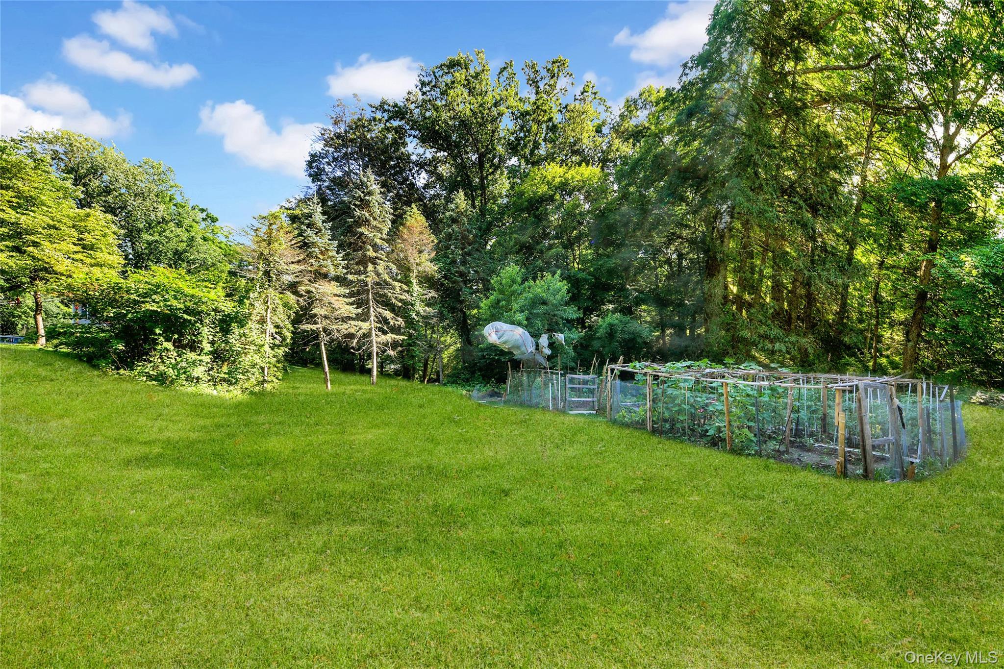 Single Family Birdsall Drive  Westchester County, NY 10598, MLS-1025268-29