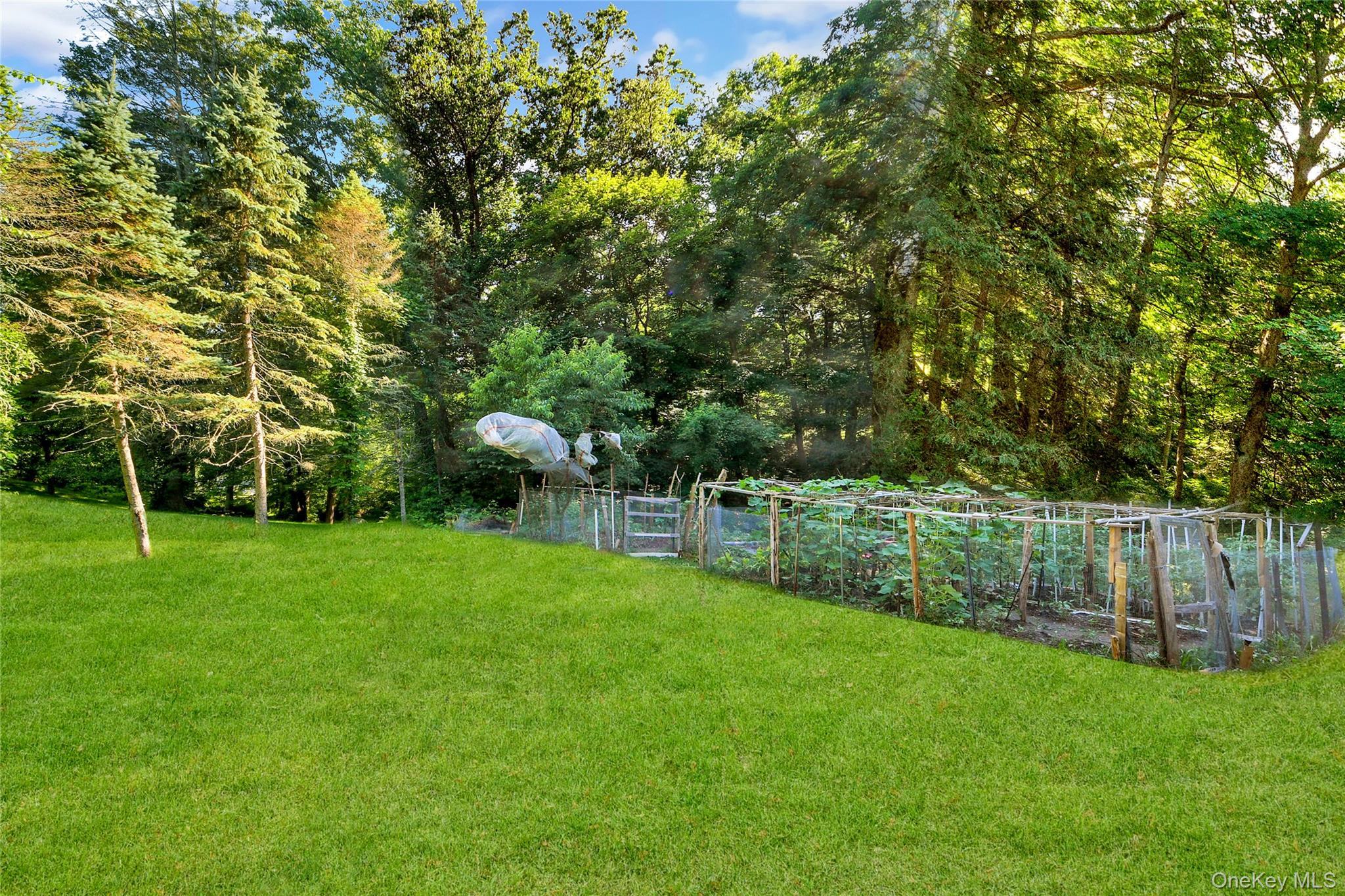 Single Family Birdsall Drive  Westchester County, NY 10598, MLS-1025268-32