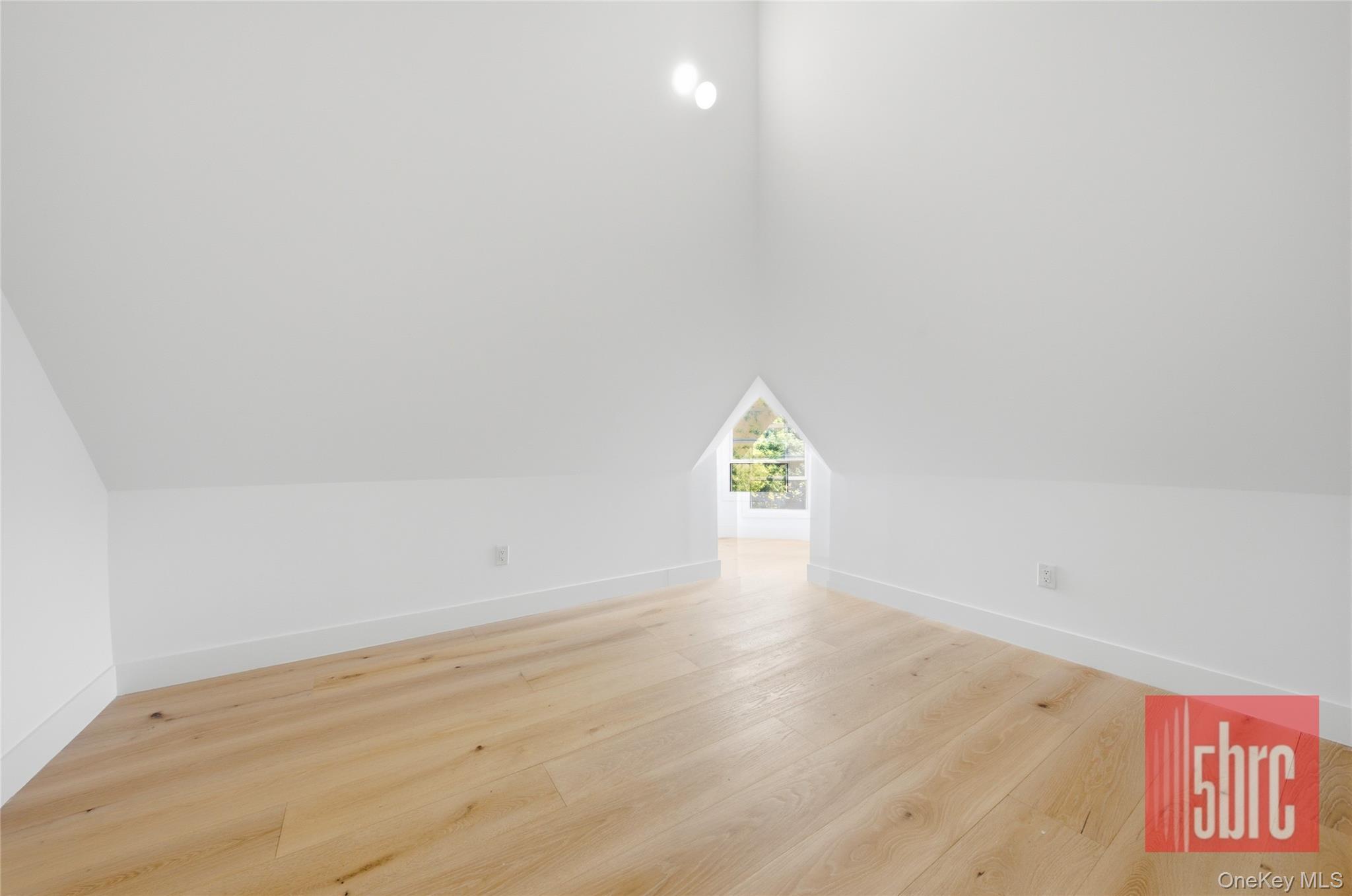 Single Family Beverley Road Brooklyn, NY 11218, MLS-1025270-24