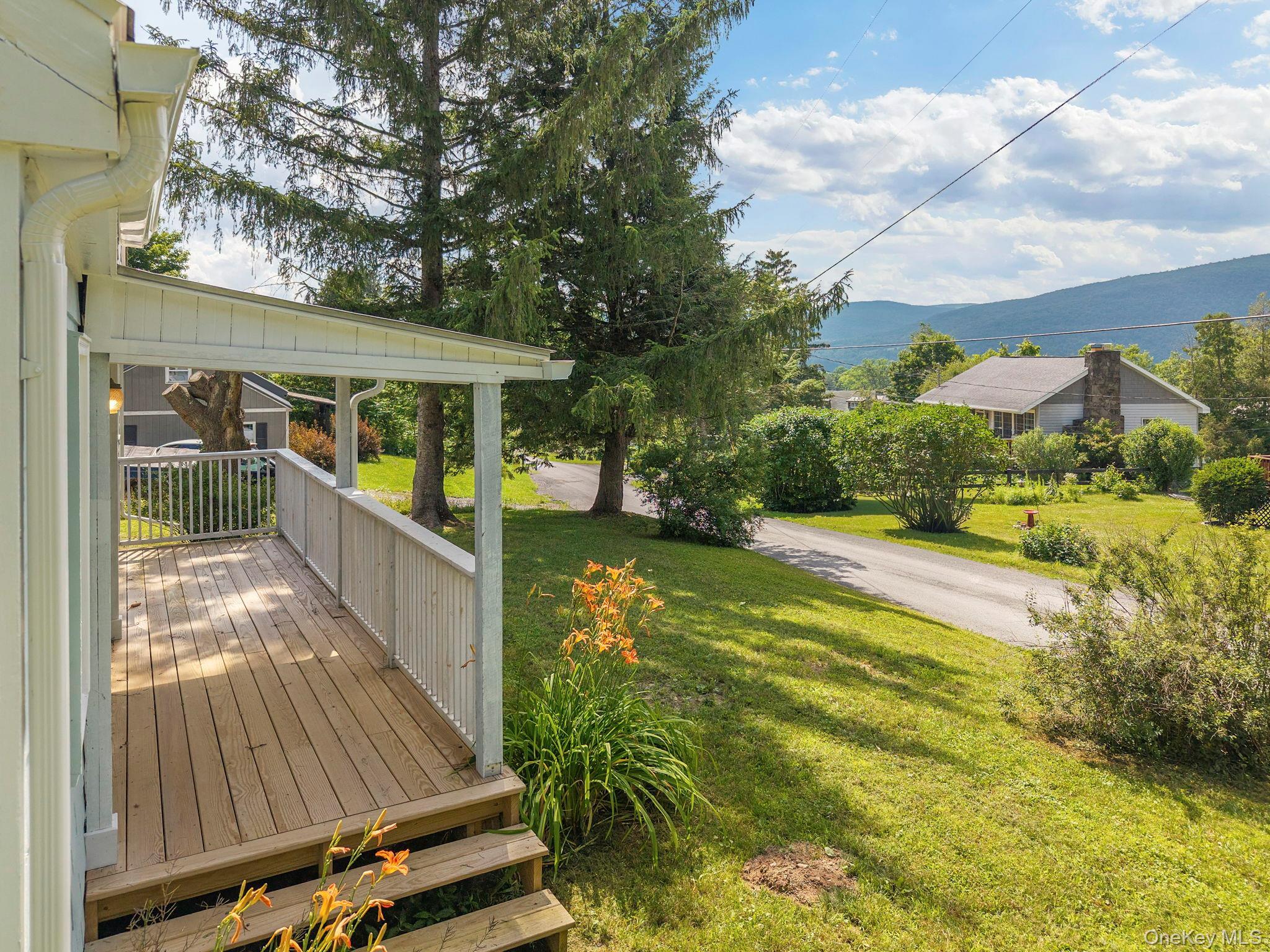 Single Family Gorge Rd, Middleburgh Ny Out Of Area, NY 12122, MLS-1025304-3