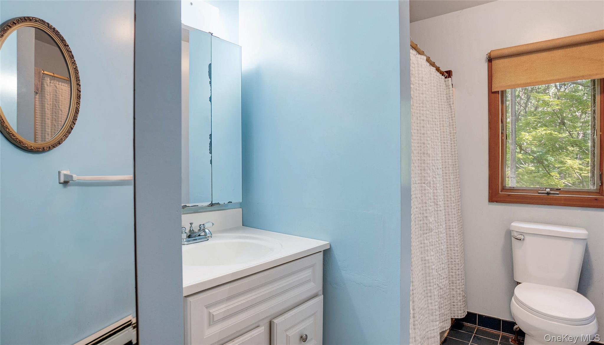 Single Family Boatheaders Lane N Suffolk County, NY 11937, MLS-1025320-7