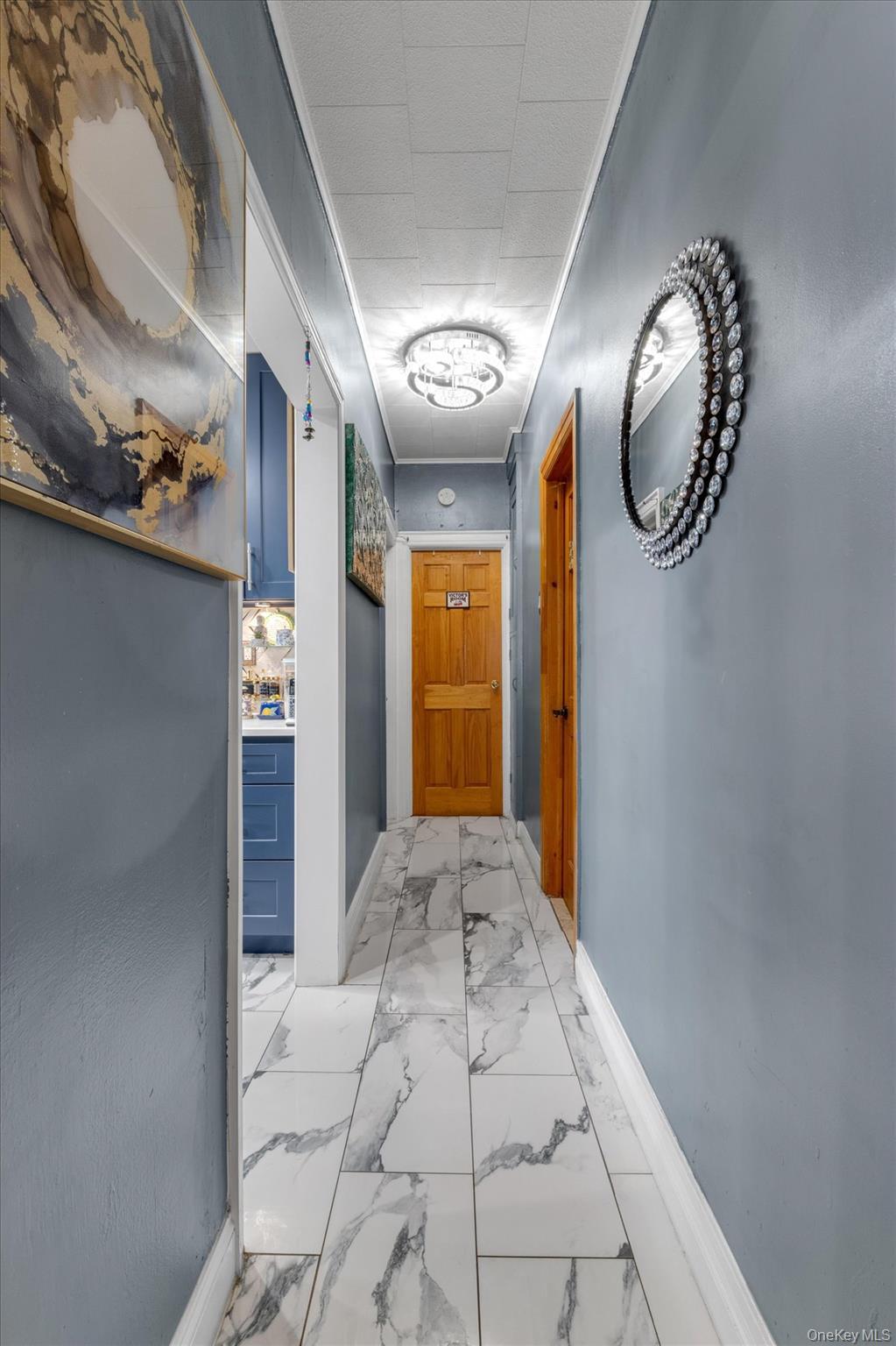 Single Family Pine Street Brooklyn, NY 11208, MLS-1025330-14