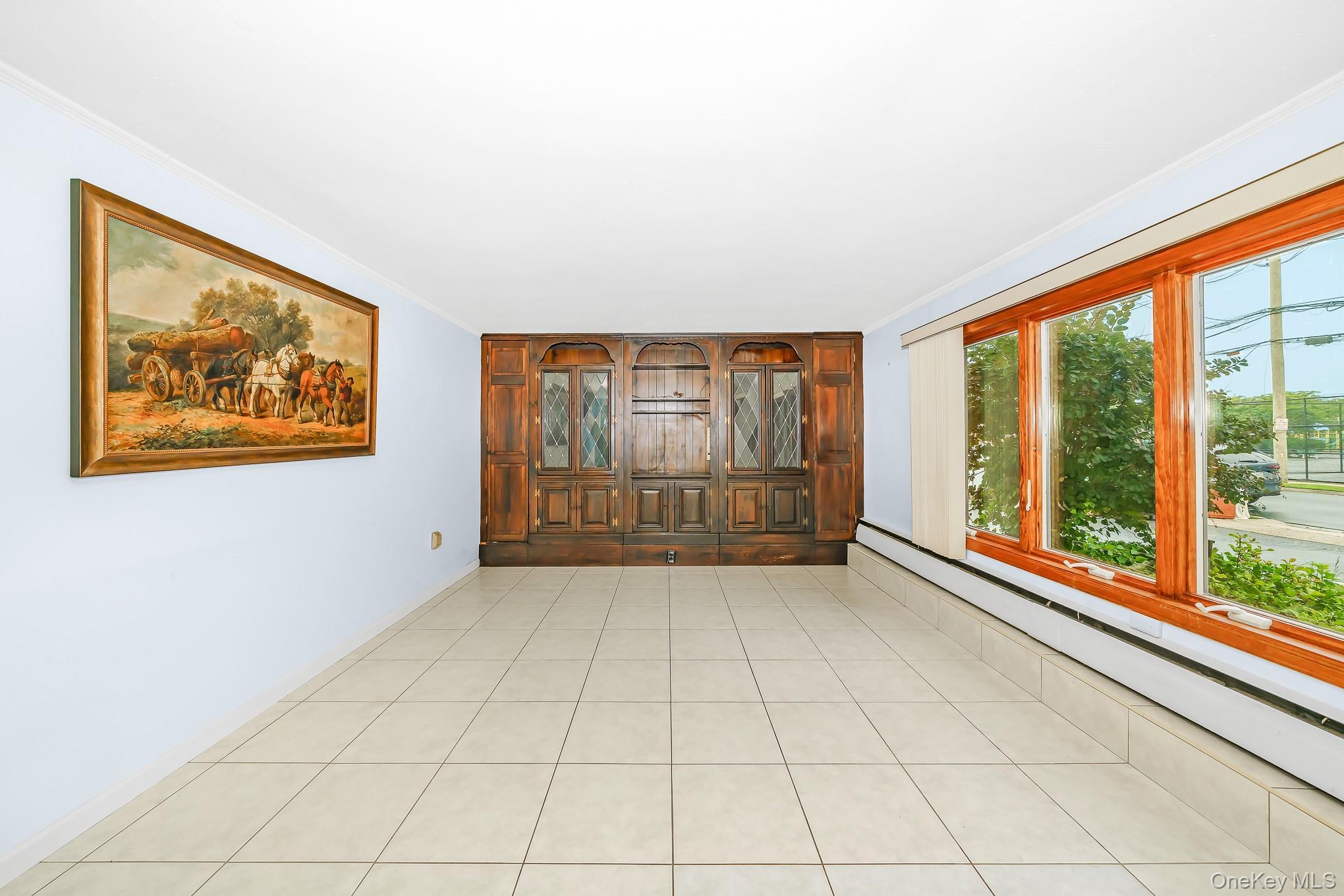 Single Family N Albany Avenue Nassau County, NY 11758, MLS-1025368-14