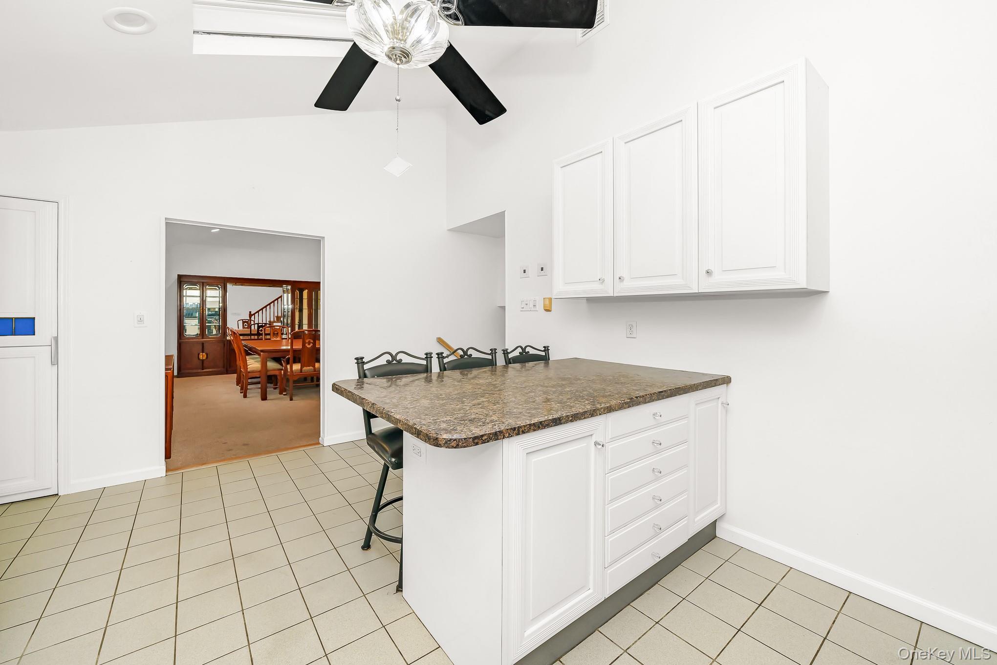 Single Family N Albany Avenue Nassau County, NY 11758, MLS-1025368-19