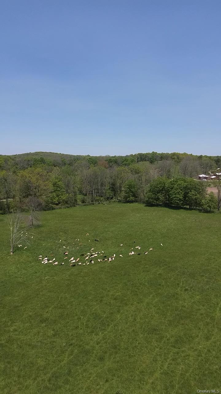 Single Family Juliet Drive Orange County, NY 10990, MLS-1025375-26