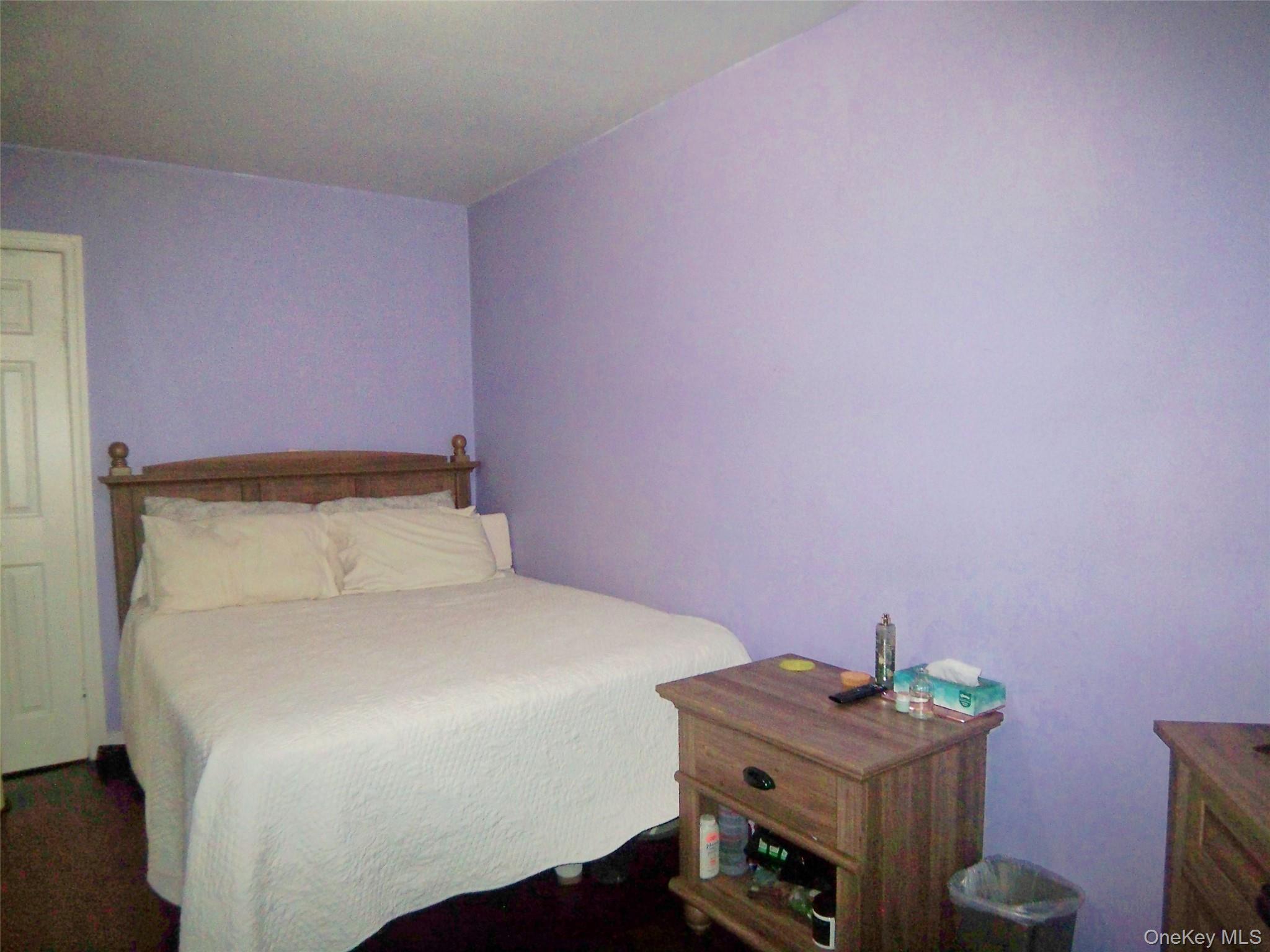 Single Family Byron Avenue Bronx, NY 10466, MLS-1025392-27