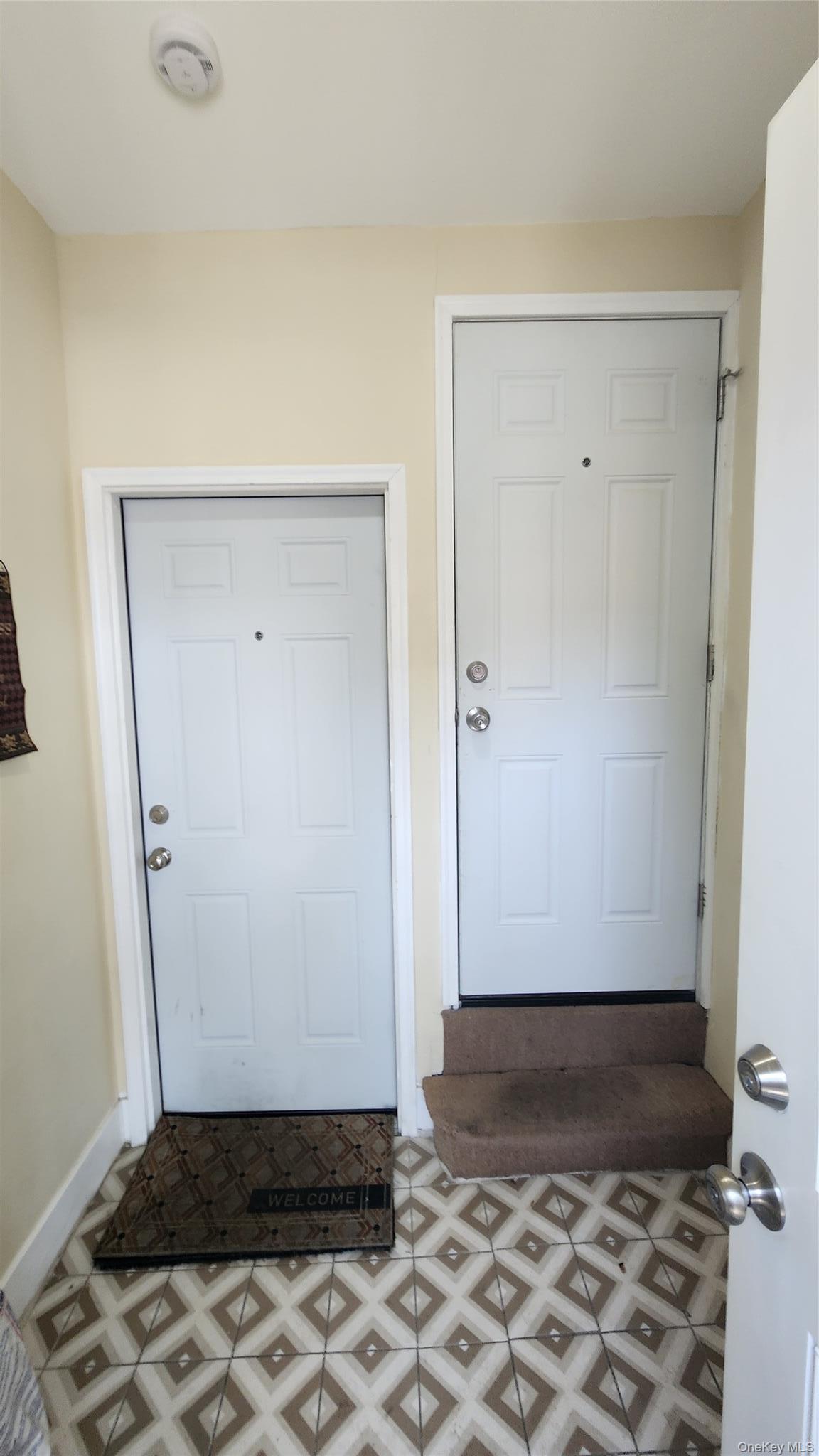 Single Family Logan Street Brooklyn, NY 11208, MLS-1025437-2