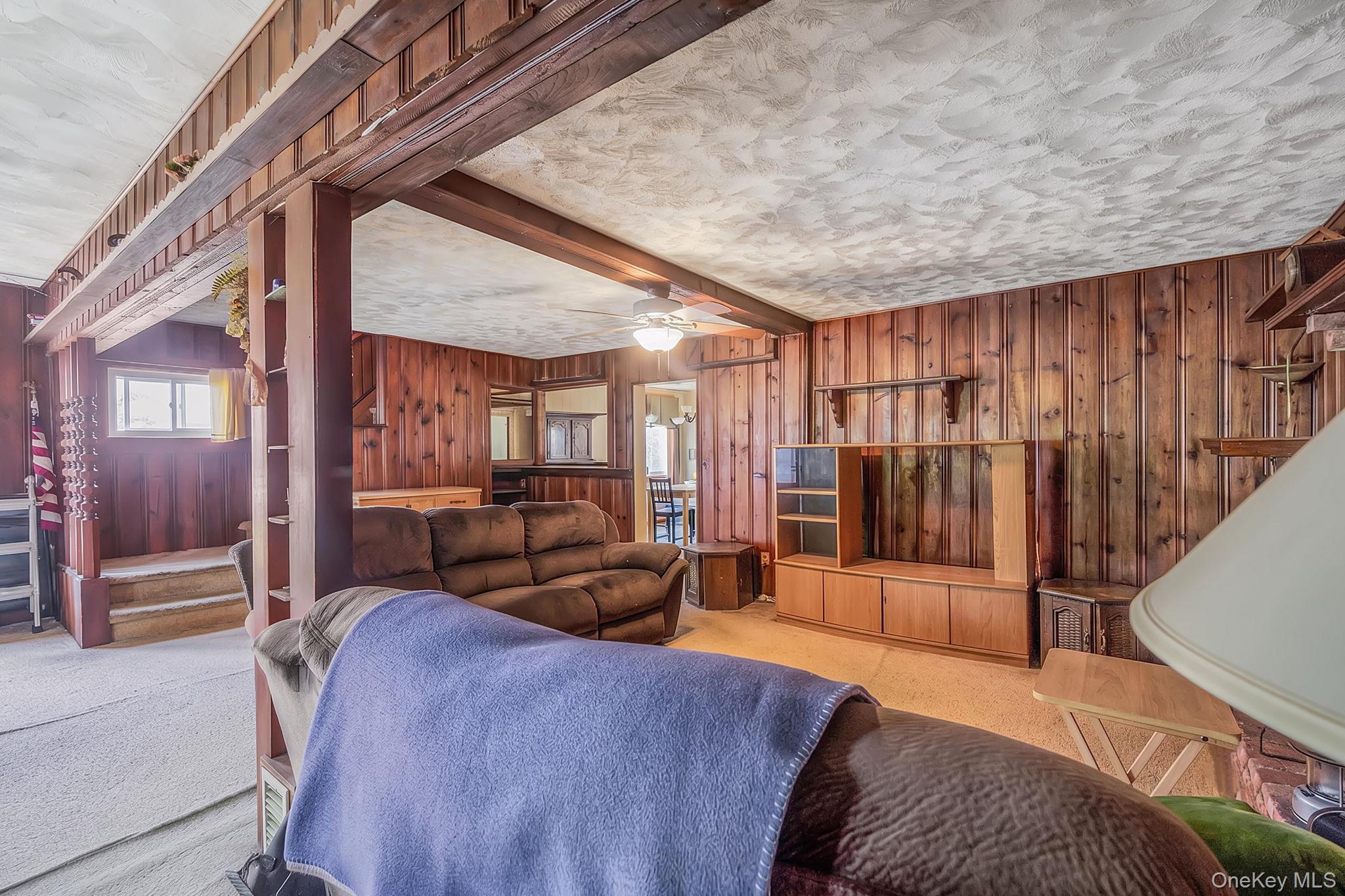 Single Family N Clinton Avenue Suffolk County, NY 11706, MLS-1025441-8