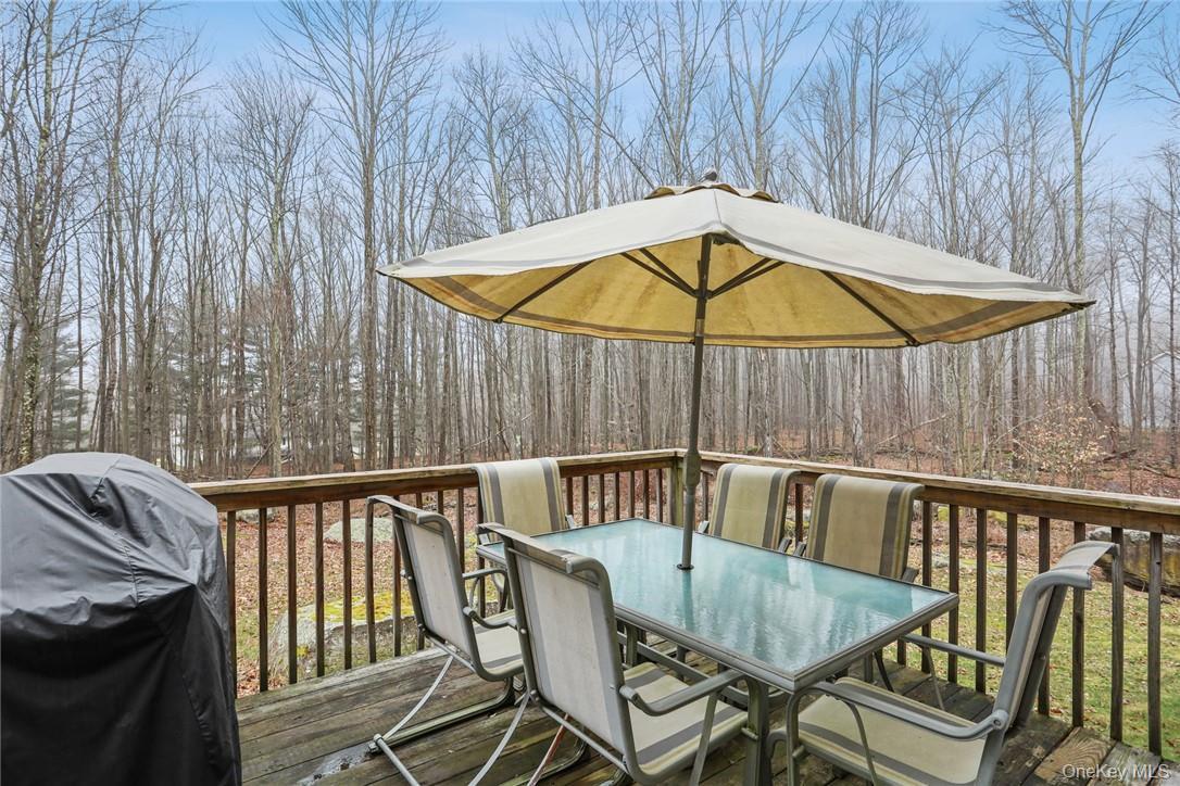 Single Family Cauthers Lane Sullivan County, NY 12789, MLS-1025453-22