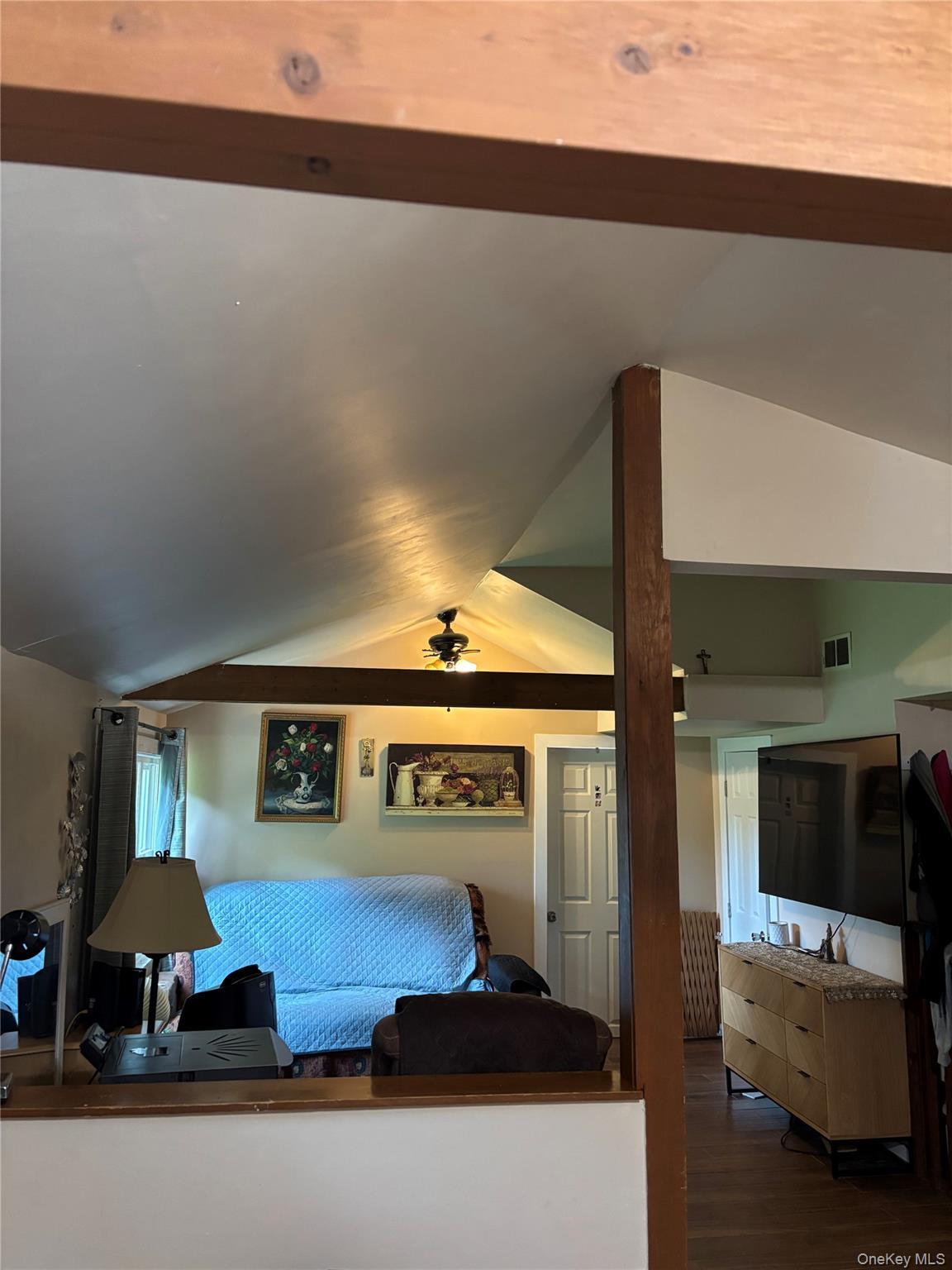 Single Family Vannostrand Road Ulster County, NY 12561, MLS-1025454-4