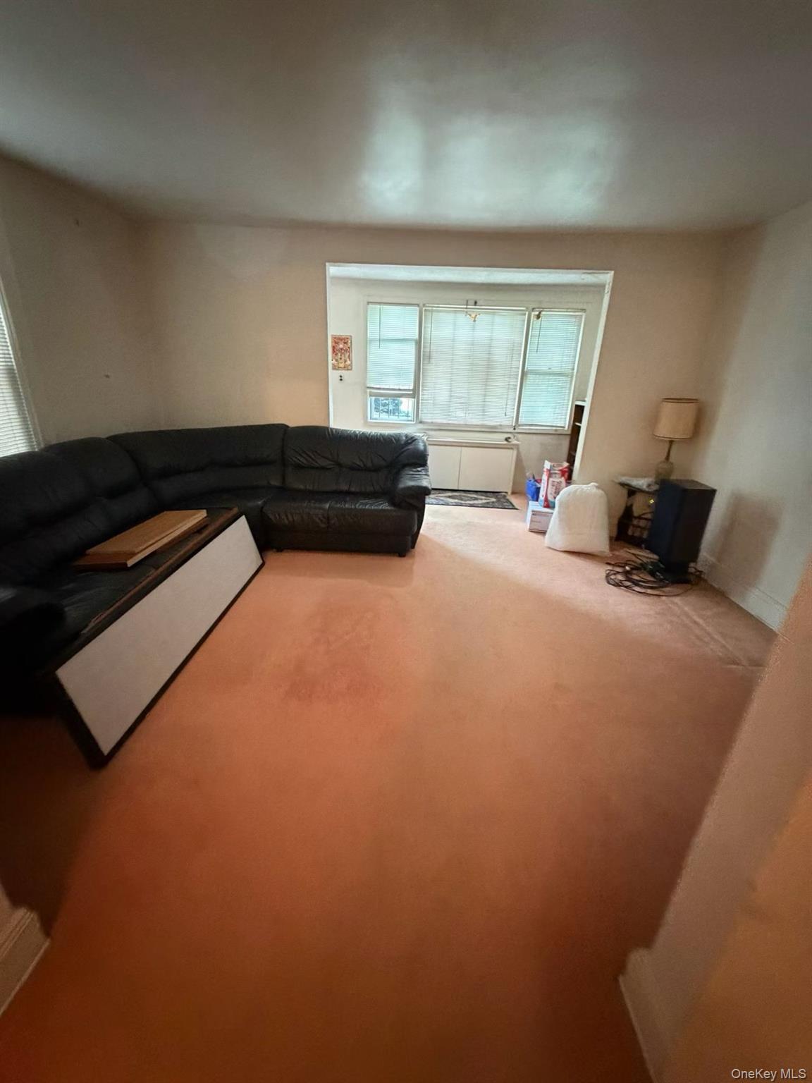 Single Family 161st Street Queens, NY 11358, MLS-1025485-5