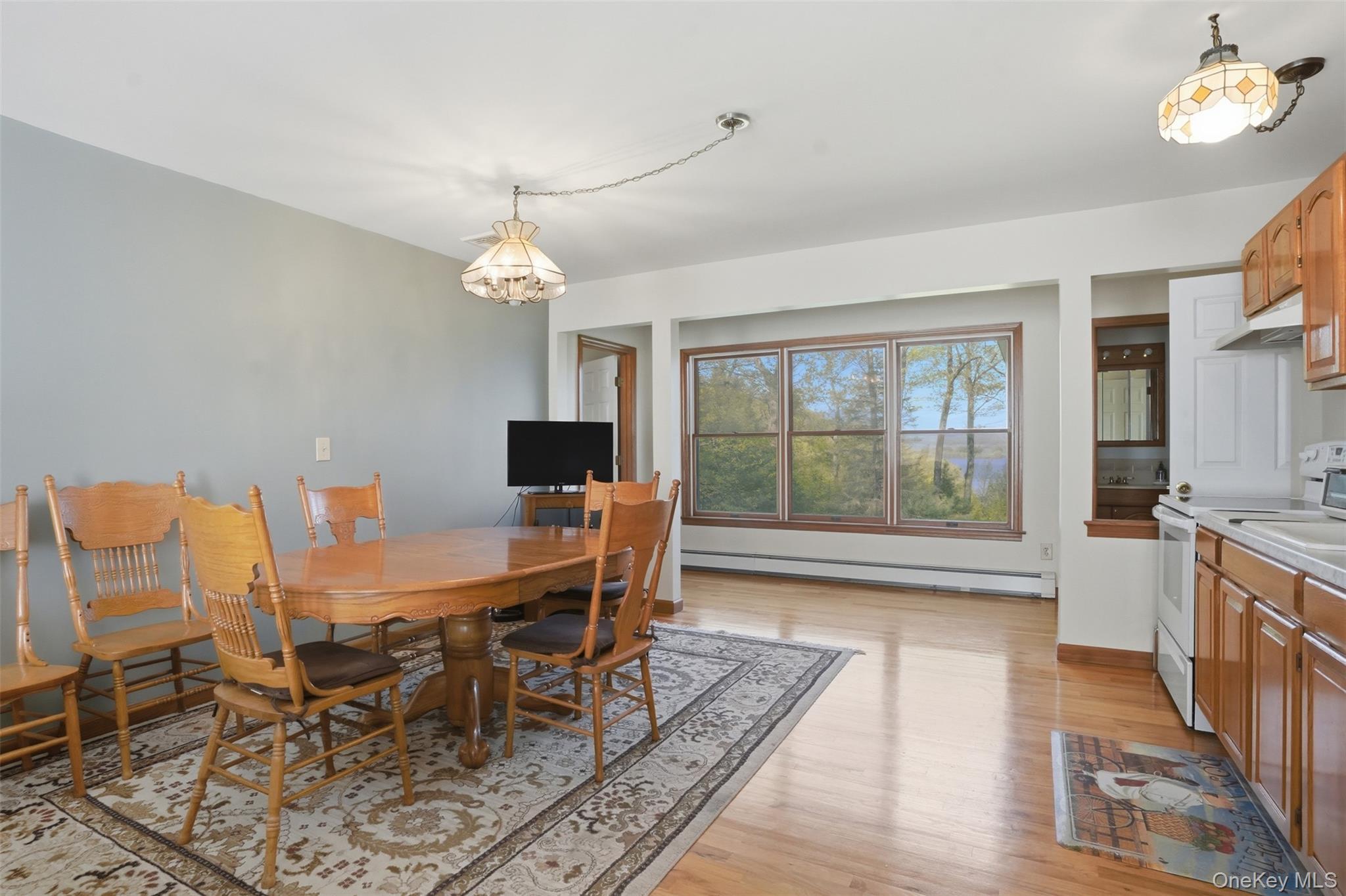Single Family Sunset Circle  Columbia County, NY 12526, MLS-1025502-19