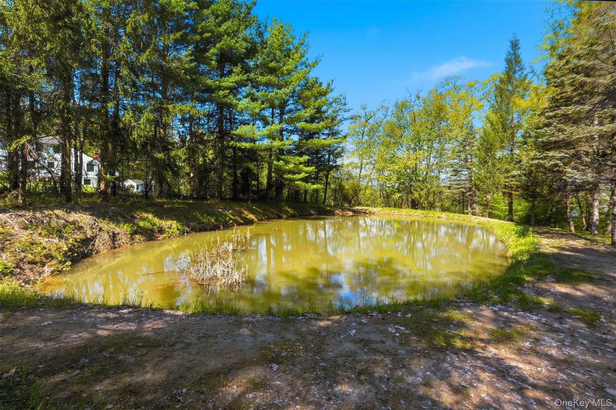 Single Family Sunset Circle  Columbia County, NY 12526, MLS-1025502-40