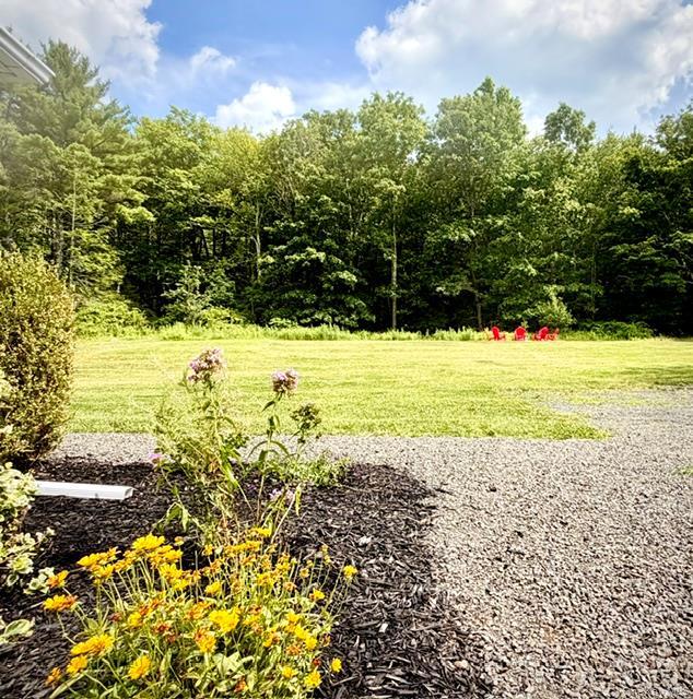Single Family Highland Avenue  Ulster County, NY 12446, MLS-1025586-23