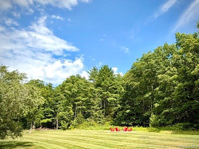 Single Family Highland Avenue  Ulster County, NY 12446, MLS-1025586-25