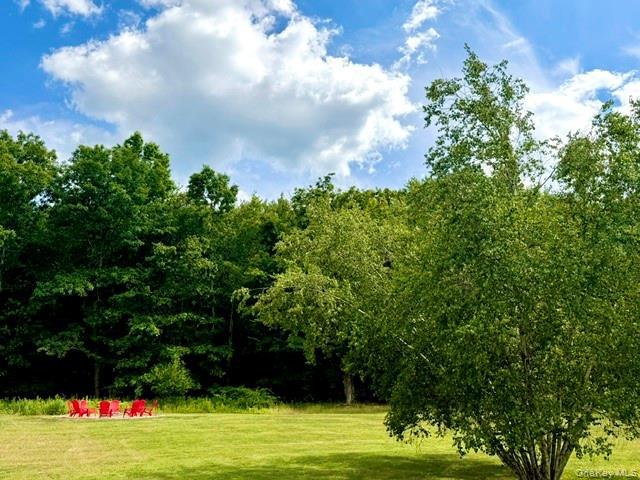 Single Family Highland Avenue  Ulster County, NY 12446, MLS-1025586-26