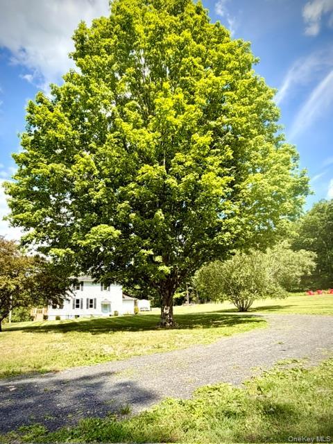 Single Family Highland Avenue  Ulster County, NY 12446, MLS-1025586-32